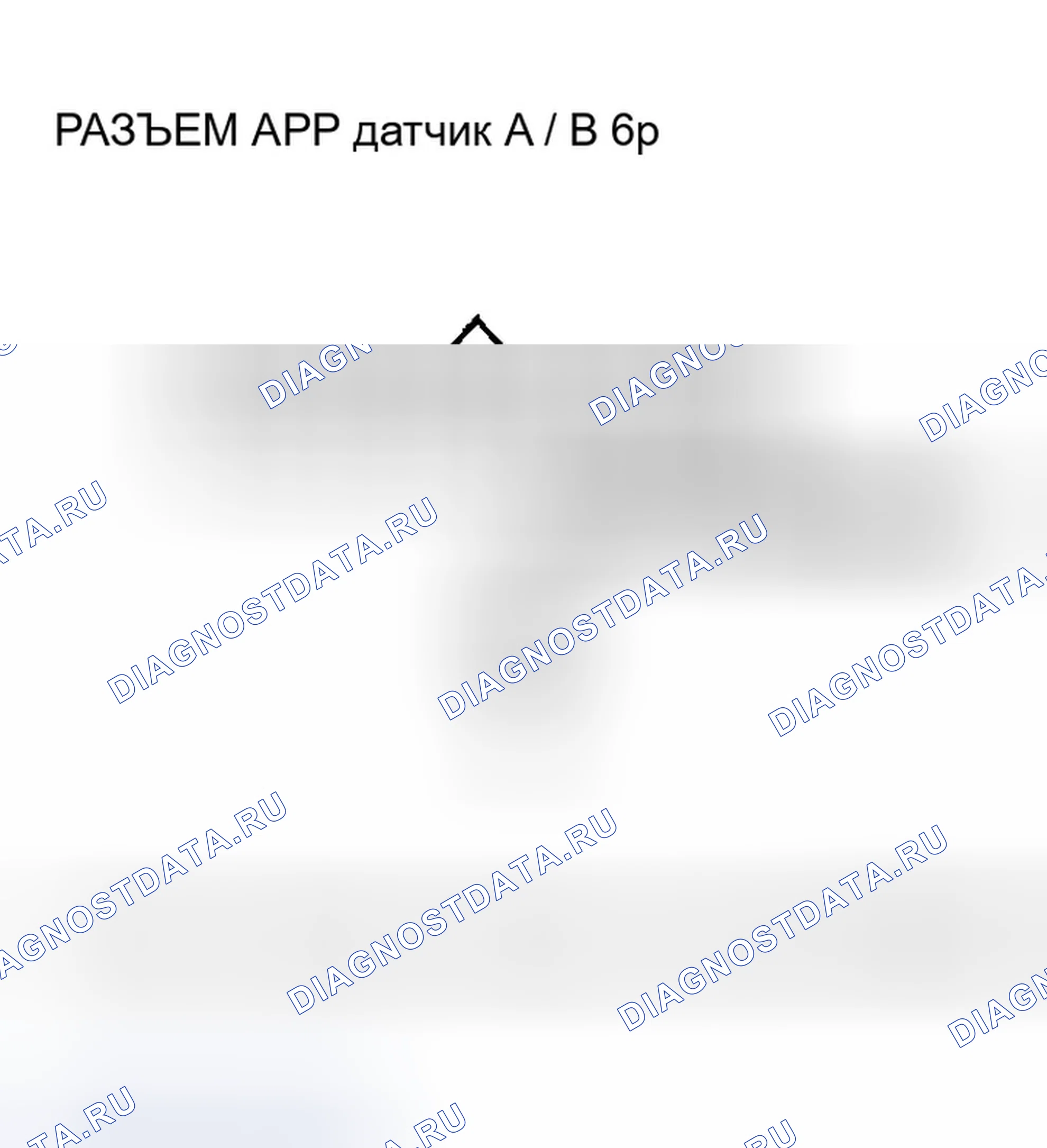 Рис. 239. Honda Accord VII рестайлинг