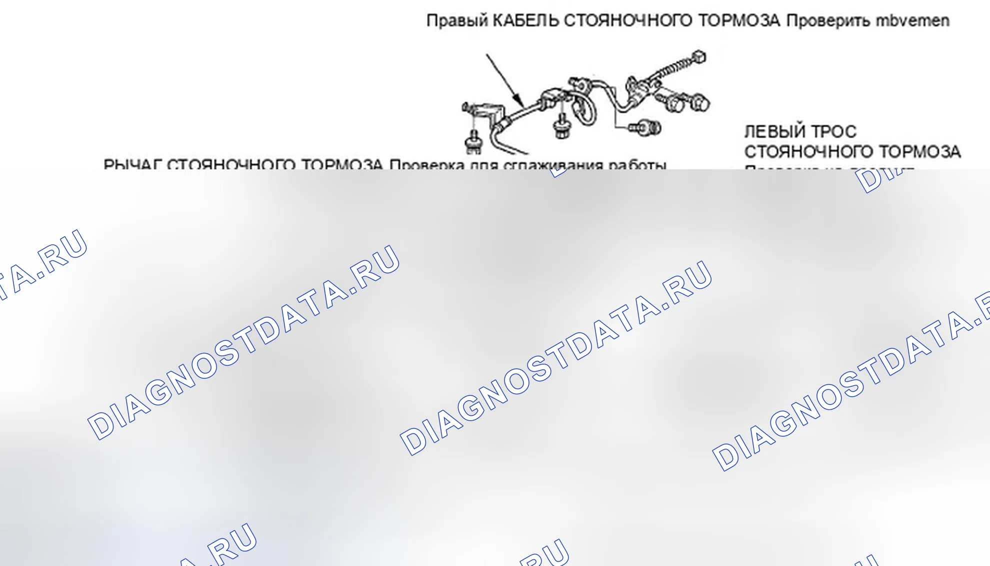 Рис. 39: За исключением модели SC. Honda Element YH2 рестайлинг
