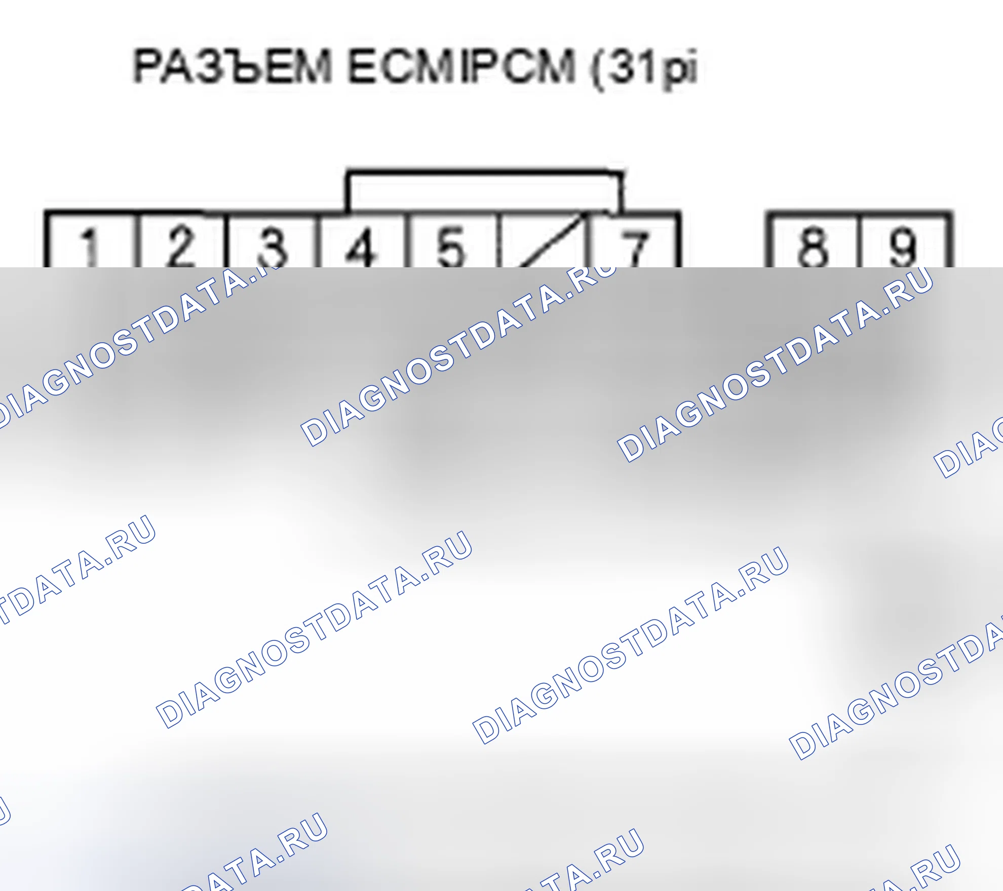 Рис. 405. Honda Element YH2 рестайлинг 2
