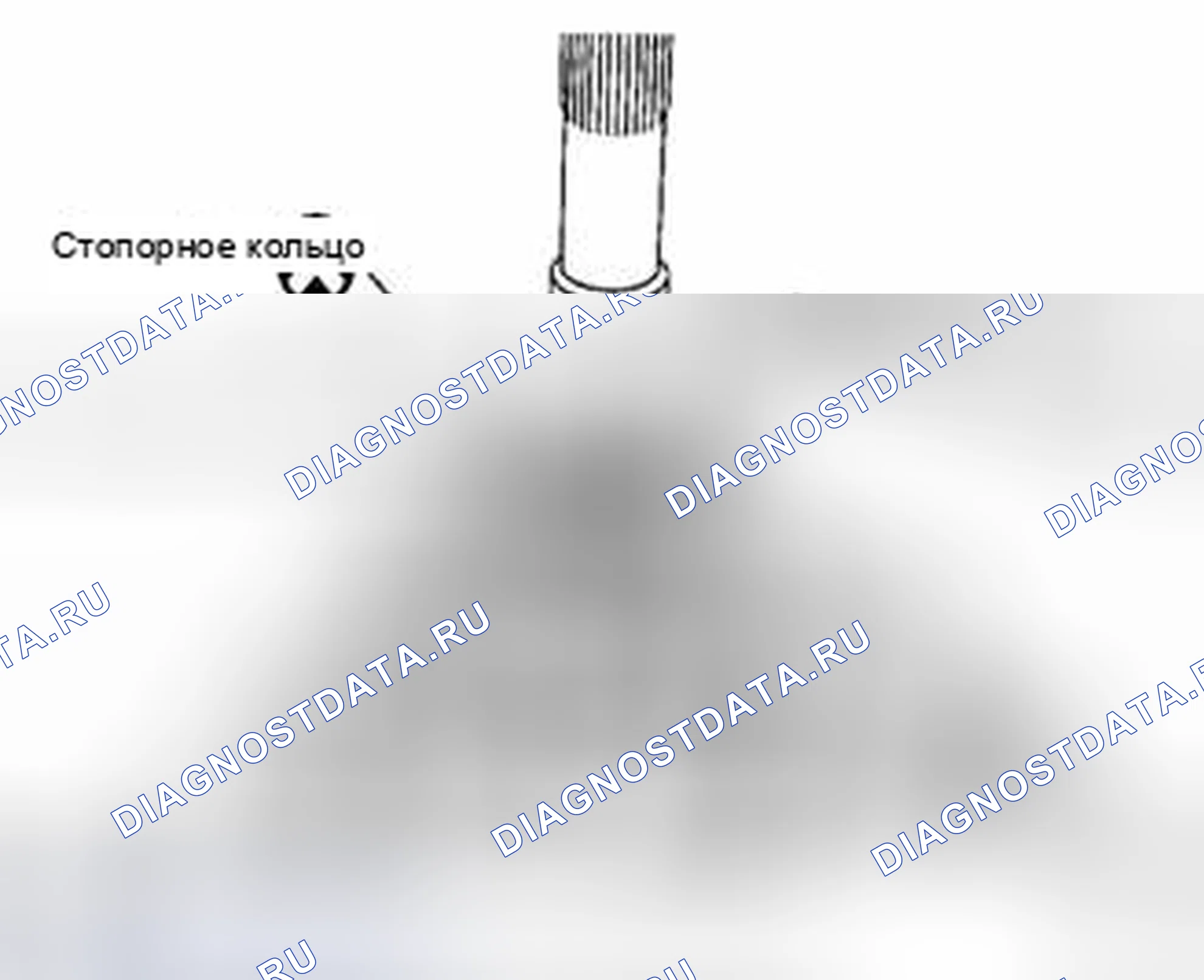 Рис. 152. Suzuki Equator I