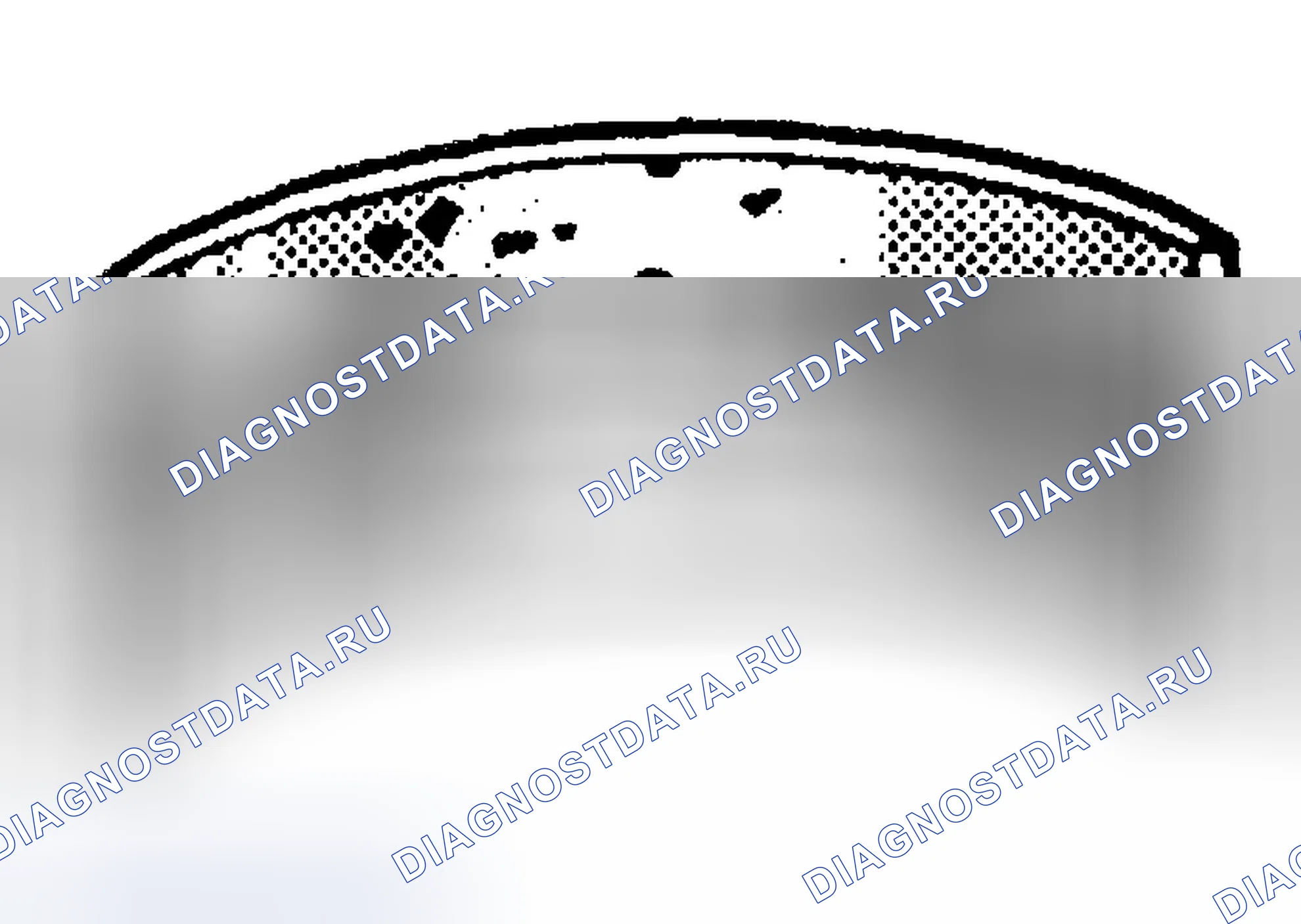 Рис. 303. Buick Century VI