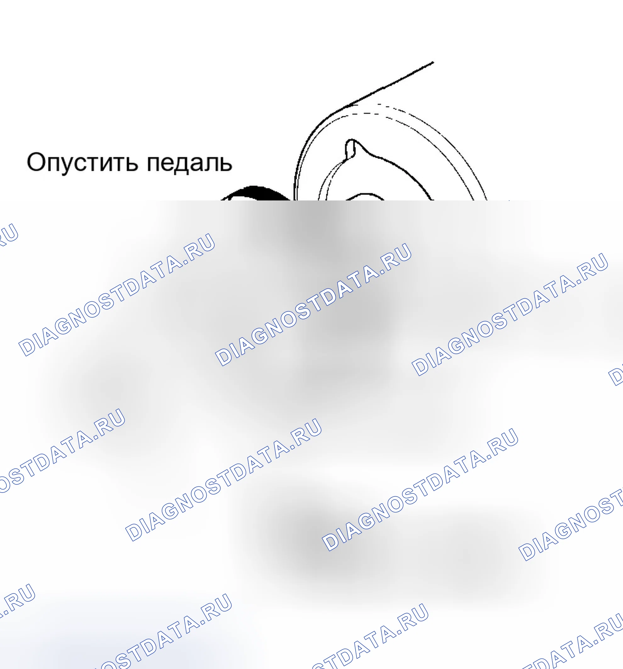 Рис. 63. Honda Element YH2