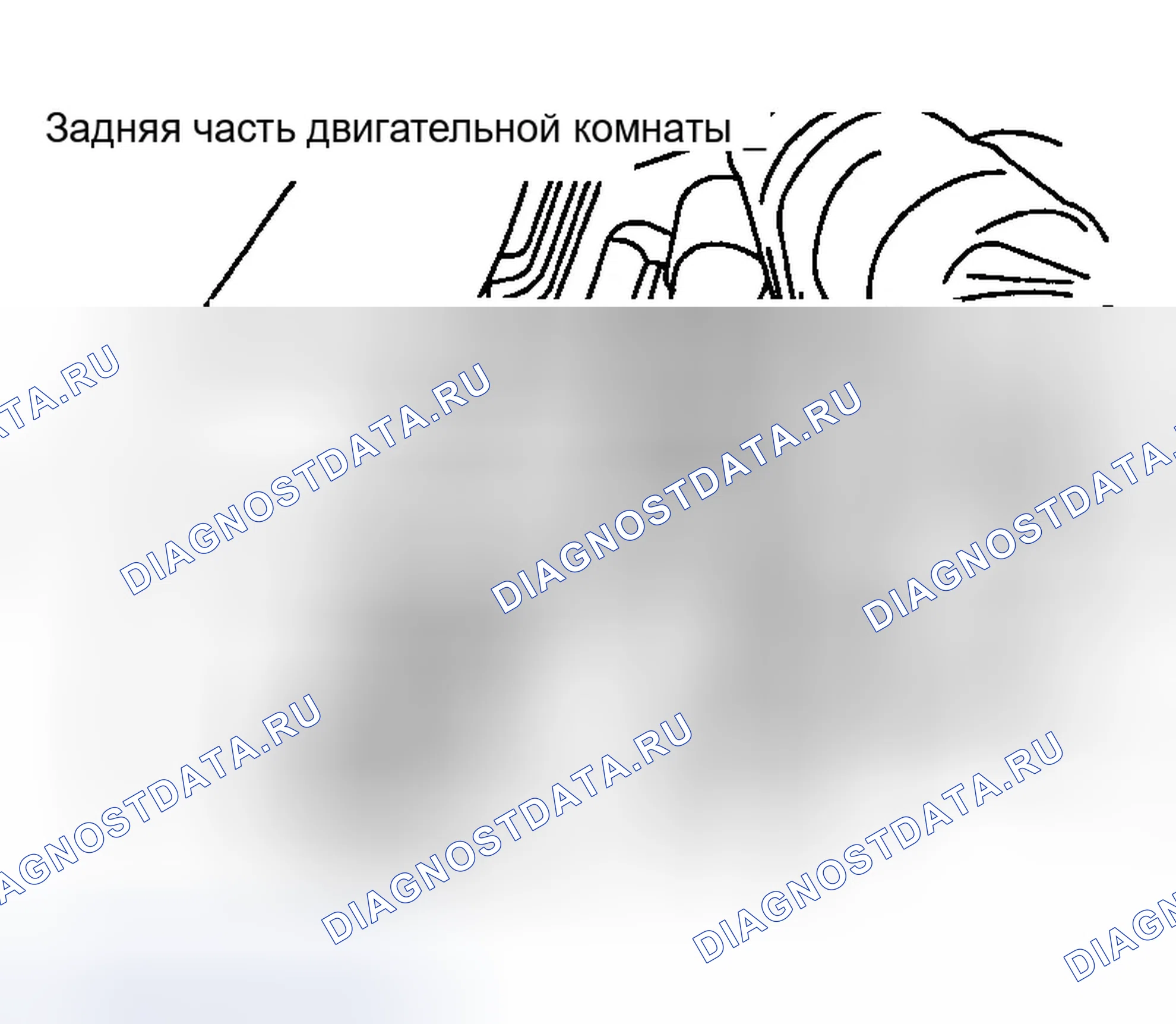 Рис. 1. Infiniti M45 II