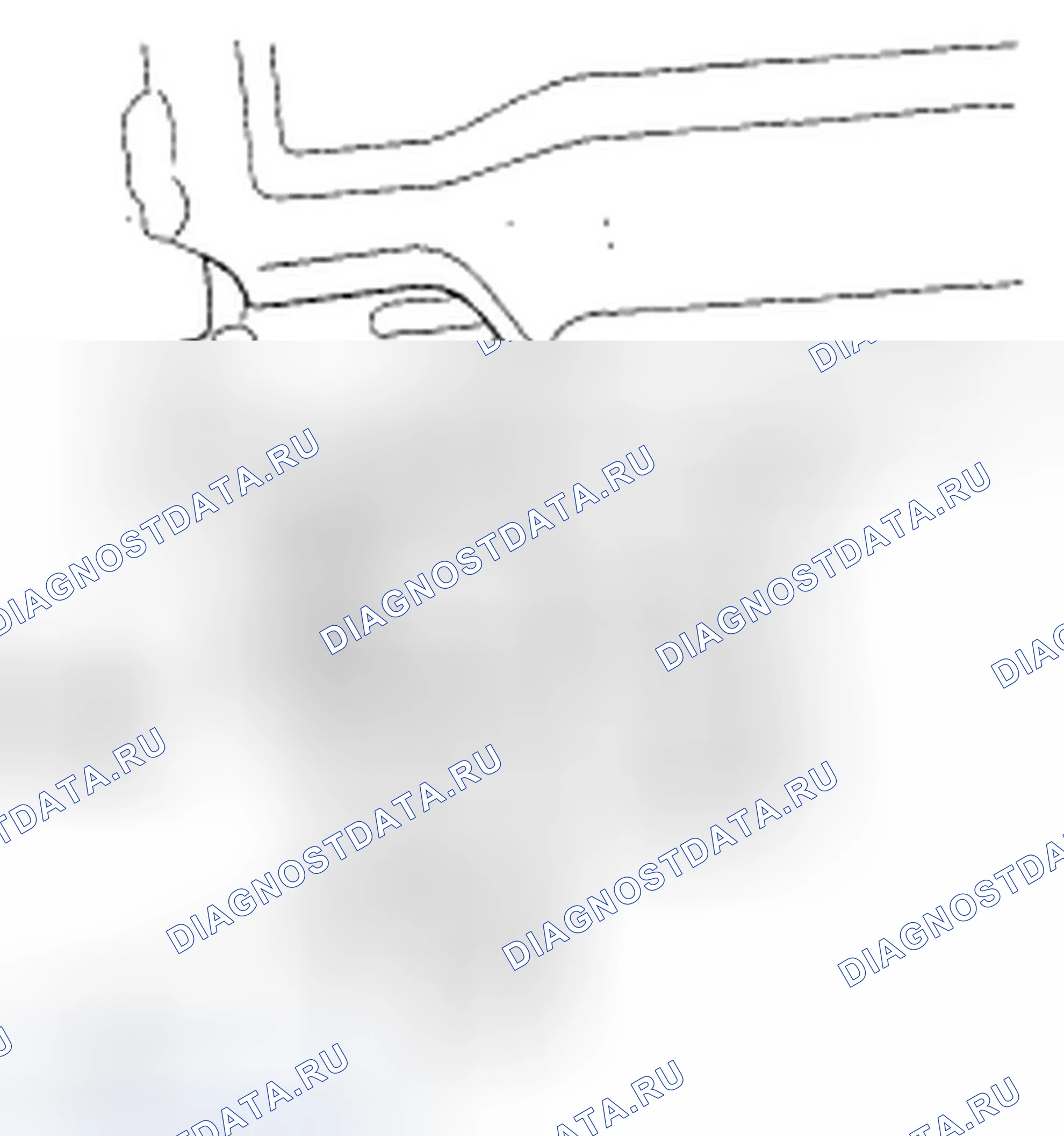 Рис. 190. Acura TSX I
