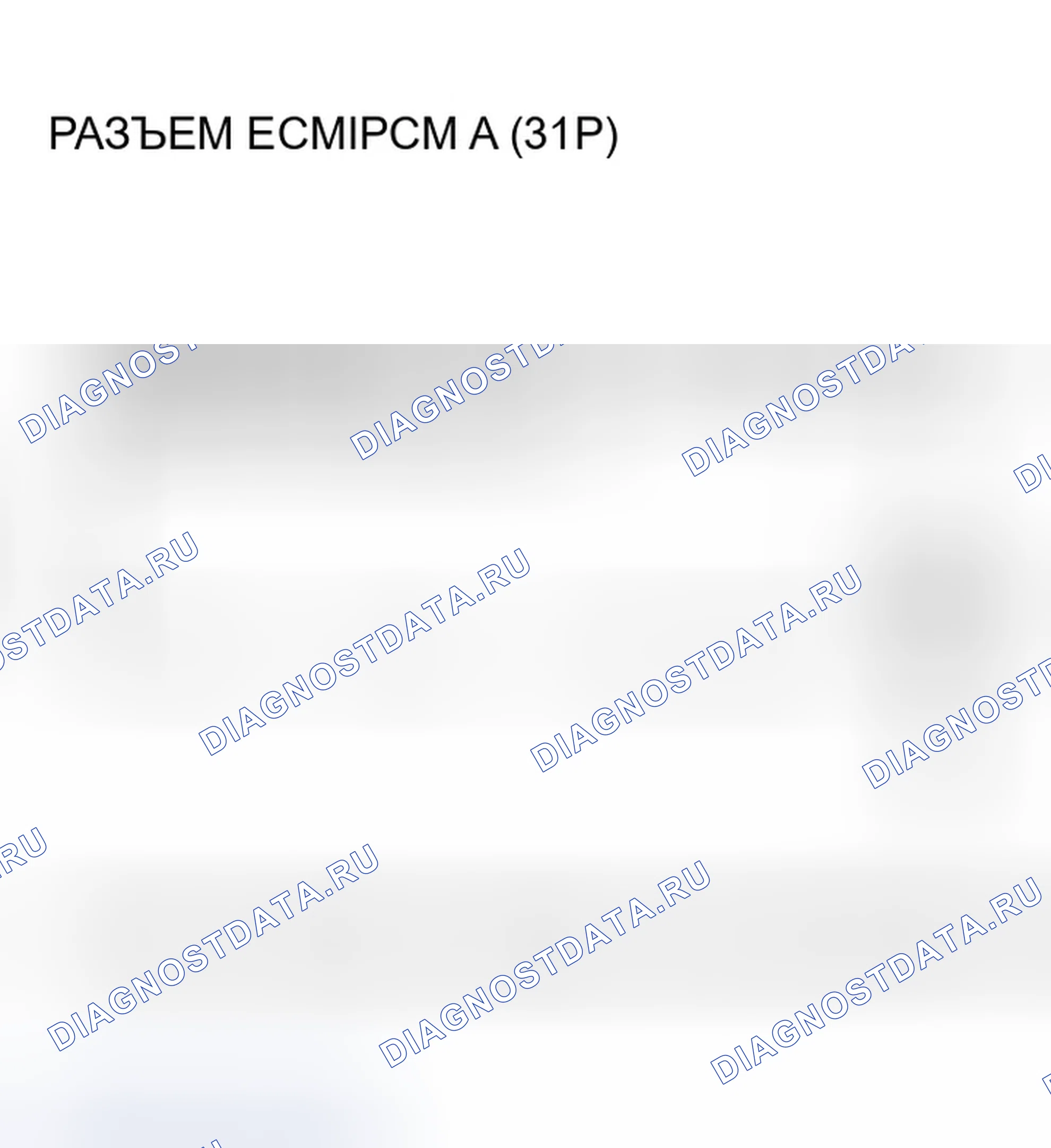 Рис. 139. Honda Element YH2
