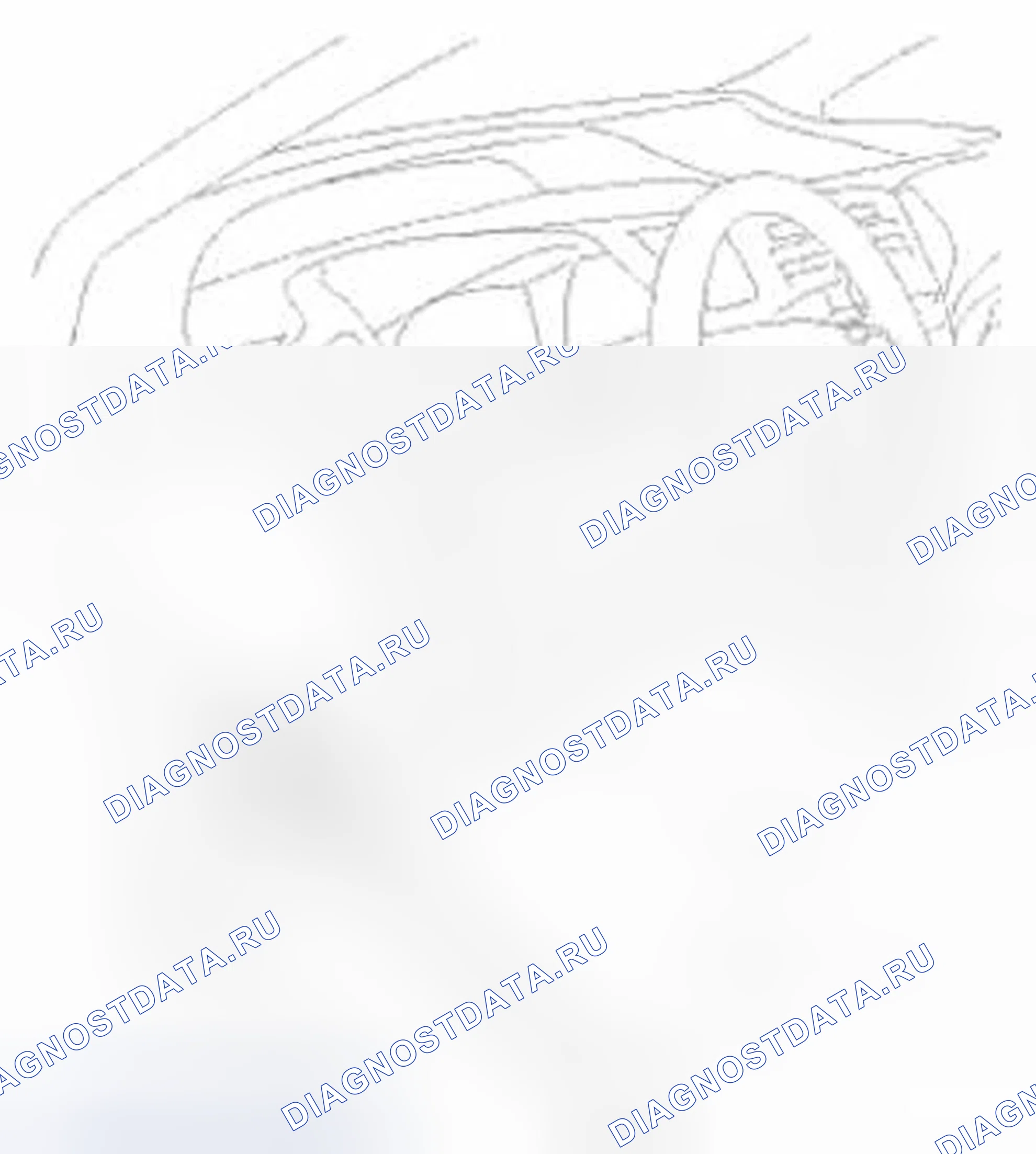 Рис. 59. Honda Civic IX