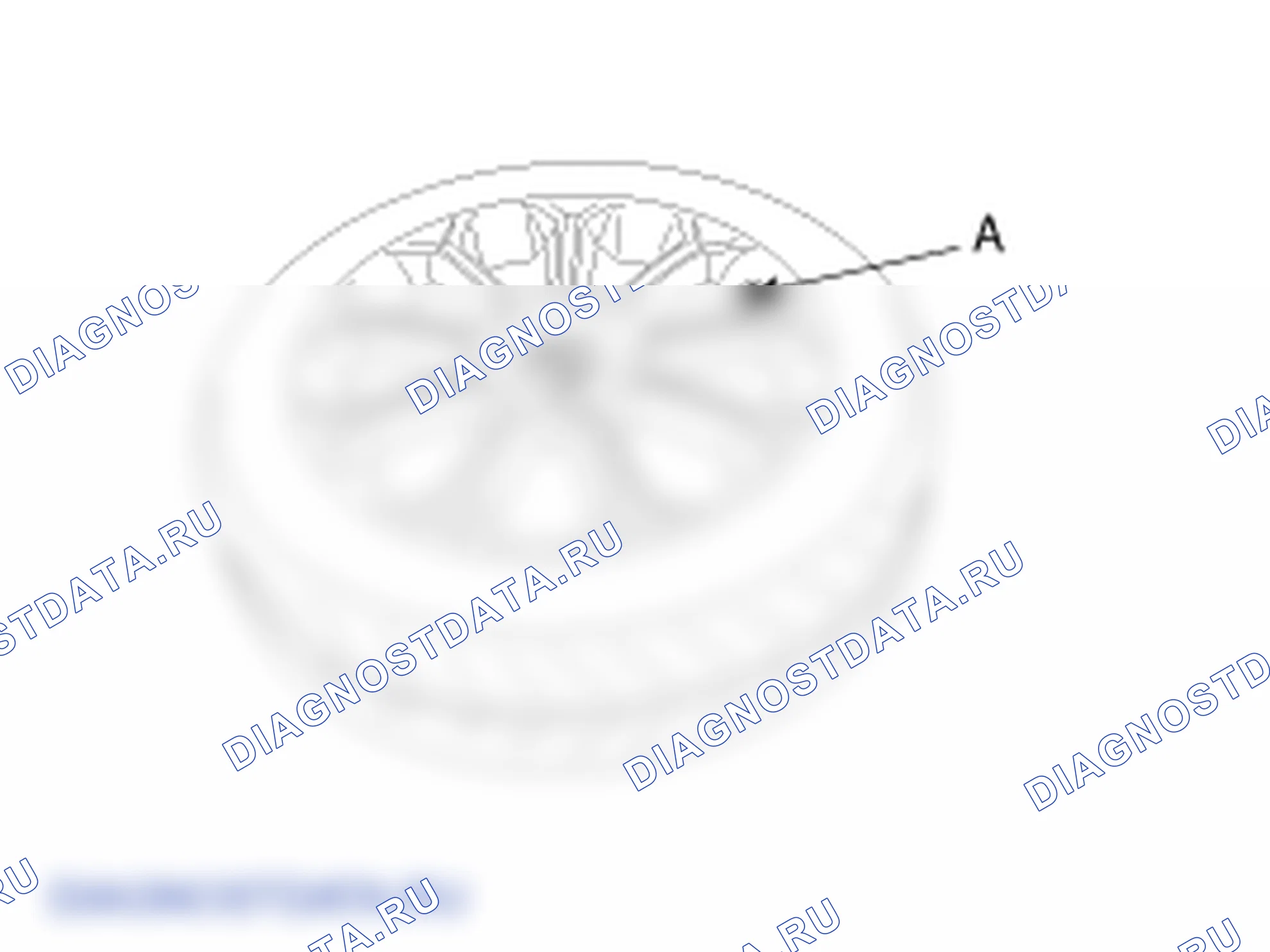 Снятие датчика TPMS. Hyundai Genesis(Bh)-U.S. I