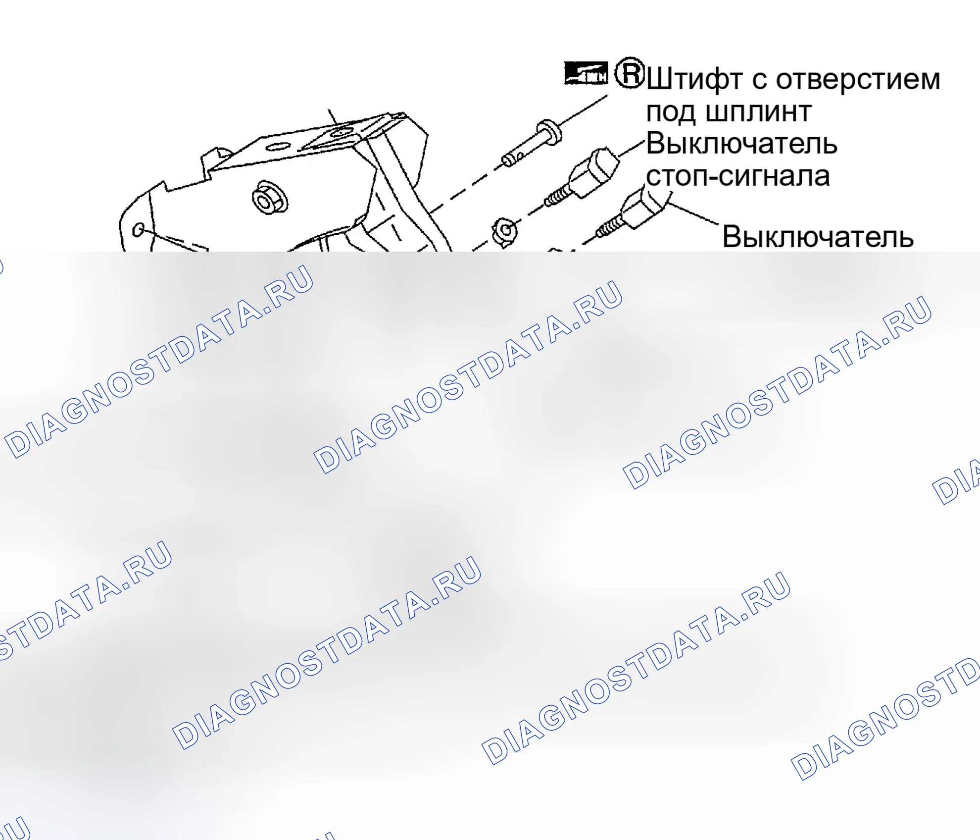 Рис. 244: РАСПОЛОЖЕНИЕ КОМПОНЕНТОВ. Infiniti G35 III