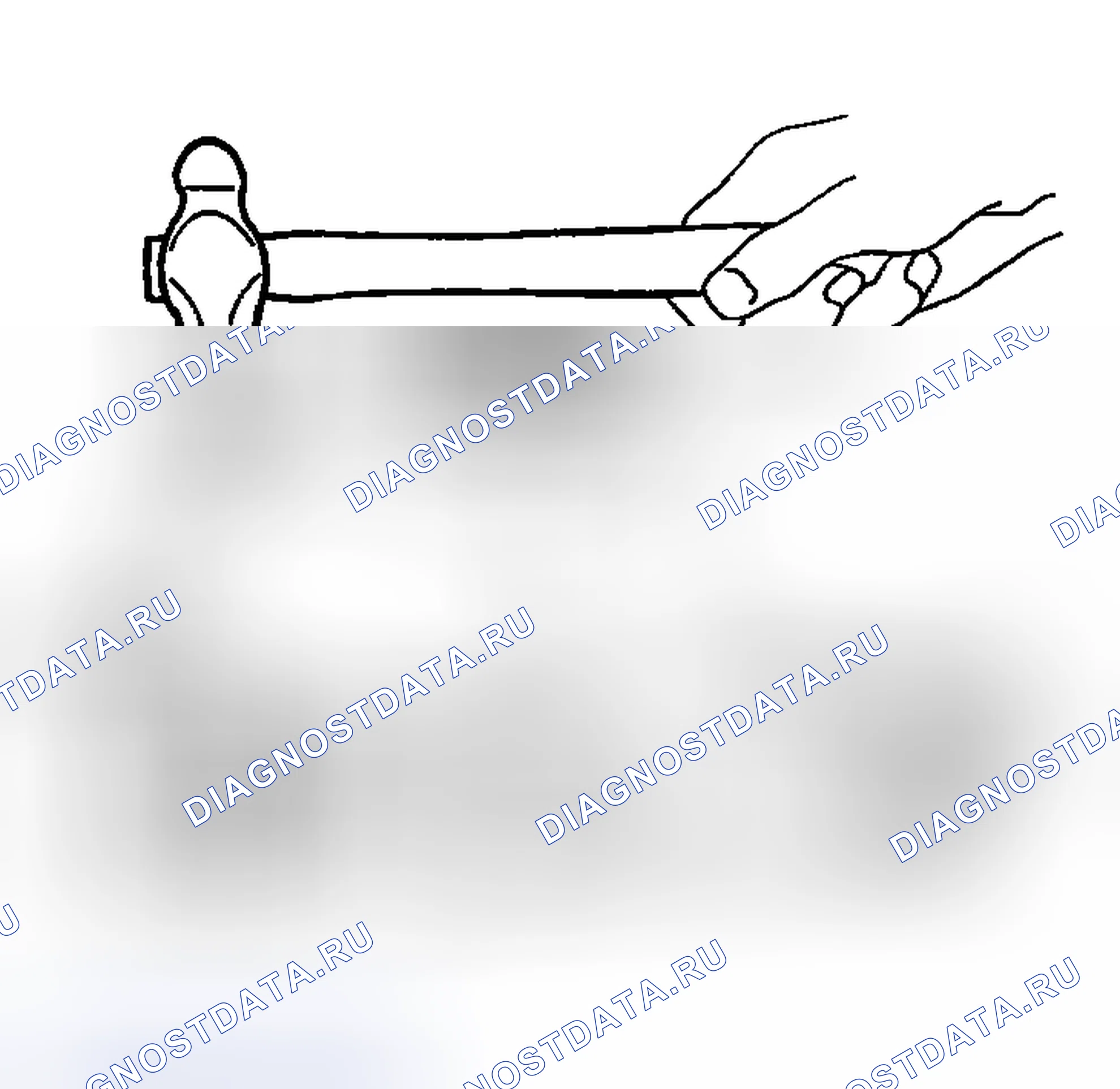 Рис. 1083. Nissan Sentra B15
