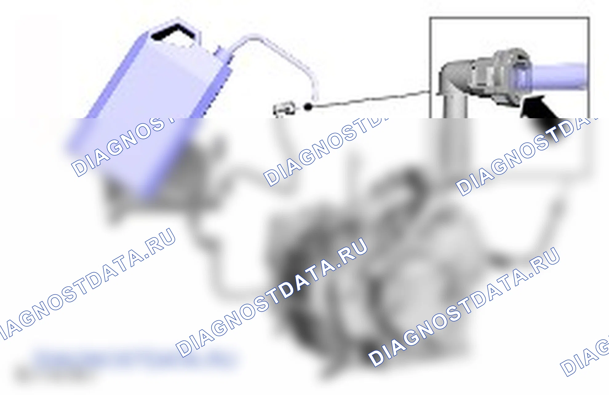 Слив и заливка трансмиссионной жидкости. Ford Kuga I
