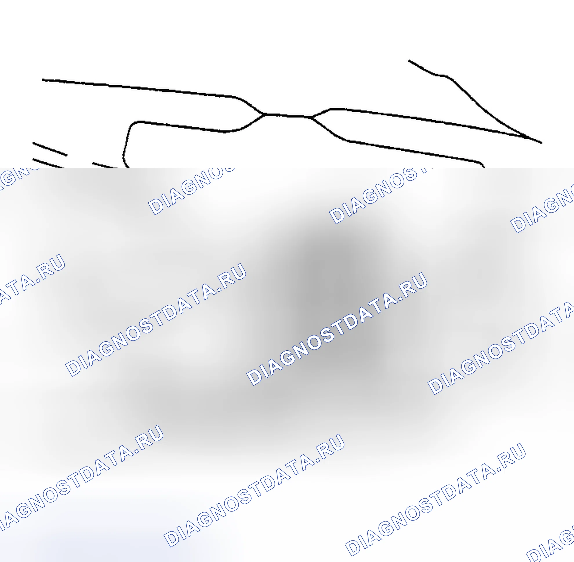 Рис. 4. Toyota MR2 W30