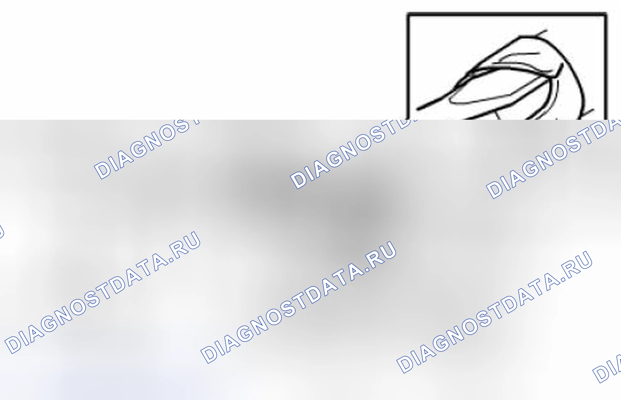 Рис. 113. Suzuki Grand Vitara II рестайлинг 2