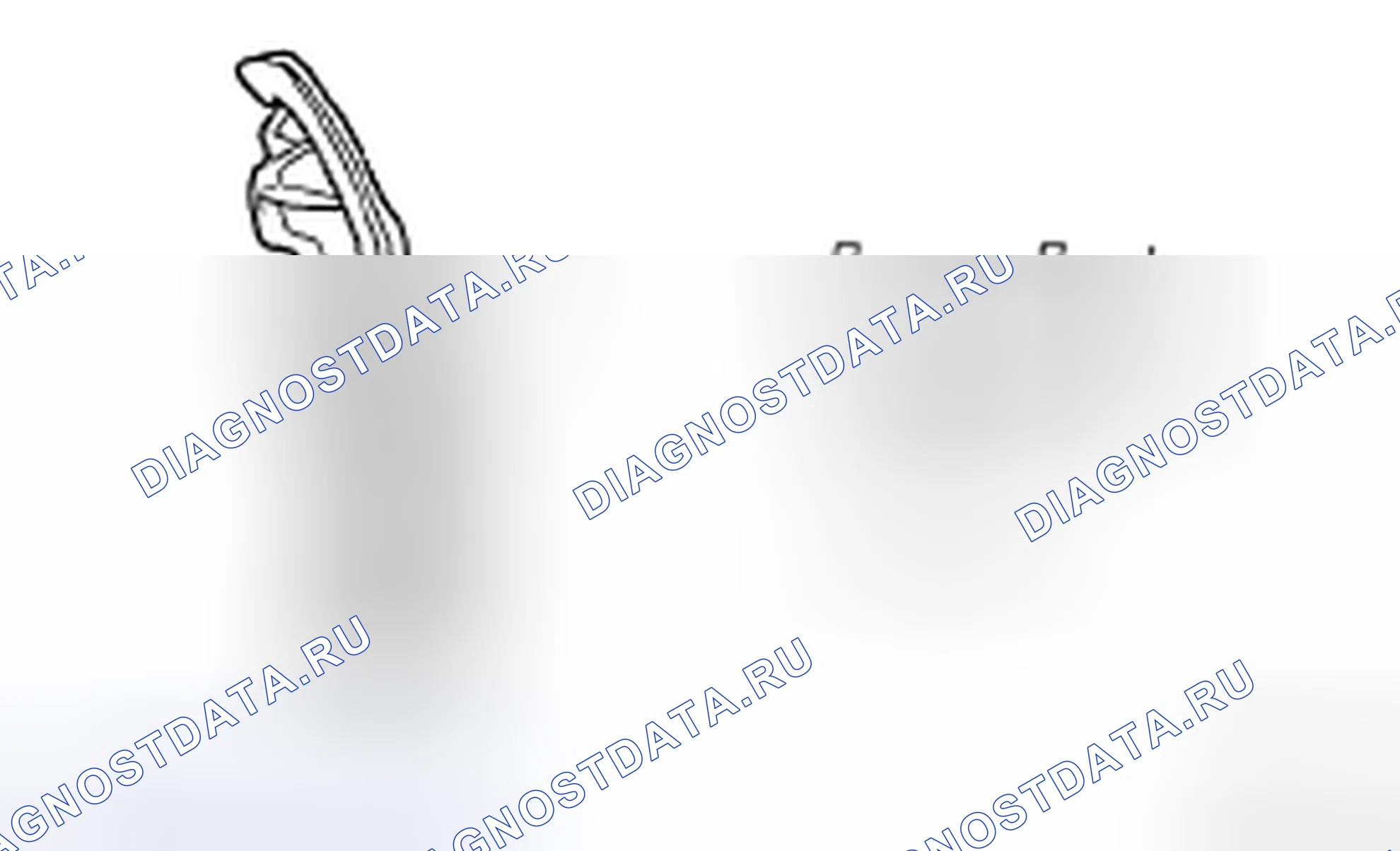 Рис. 613. Toyota Corolla X