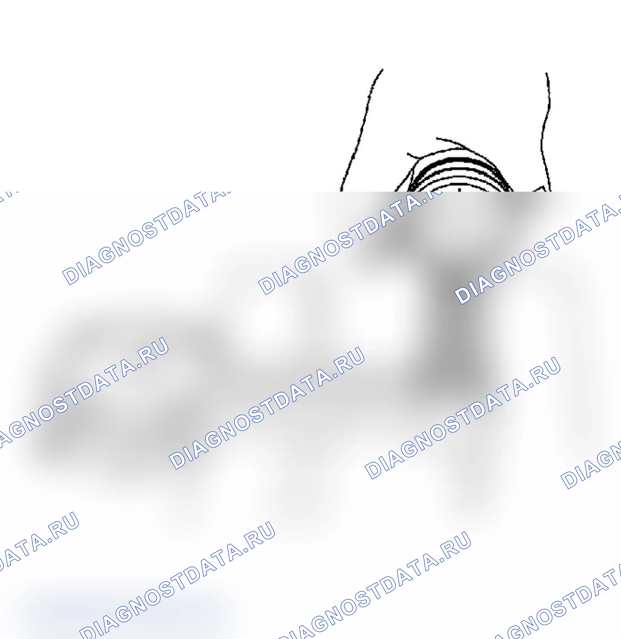 Рис. 476. Subaru Impreza WRX GD/GG рестайлинг