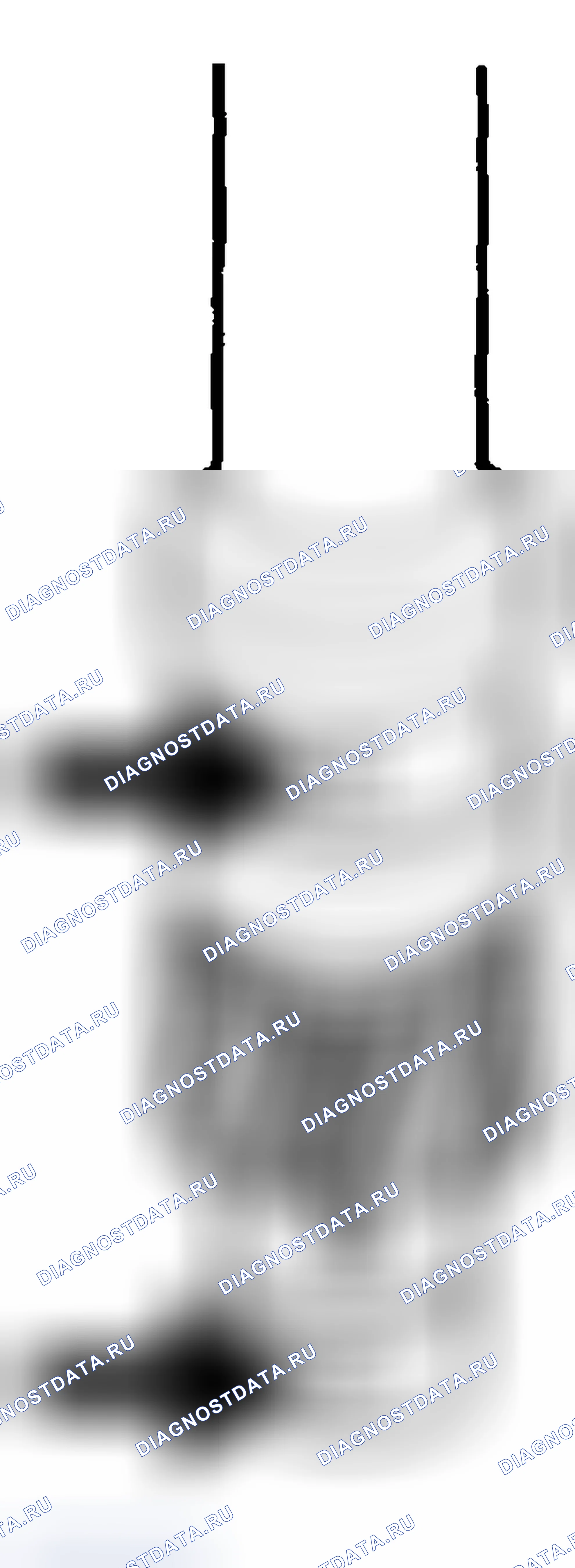 Рис. 649. Chevrolet Chevy Express H2500 