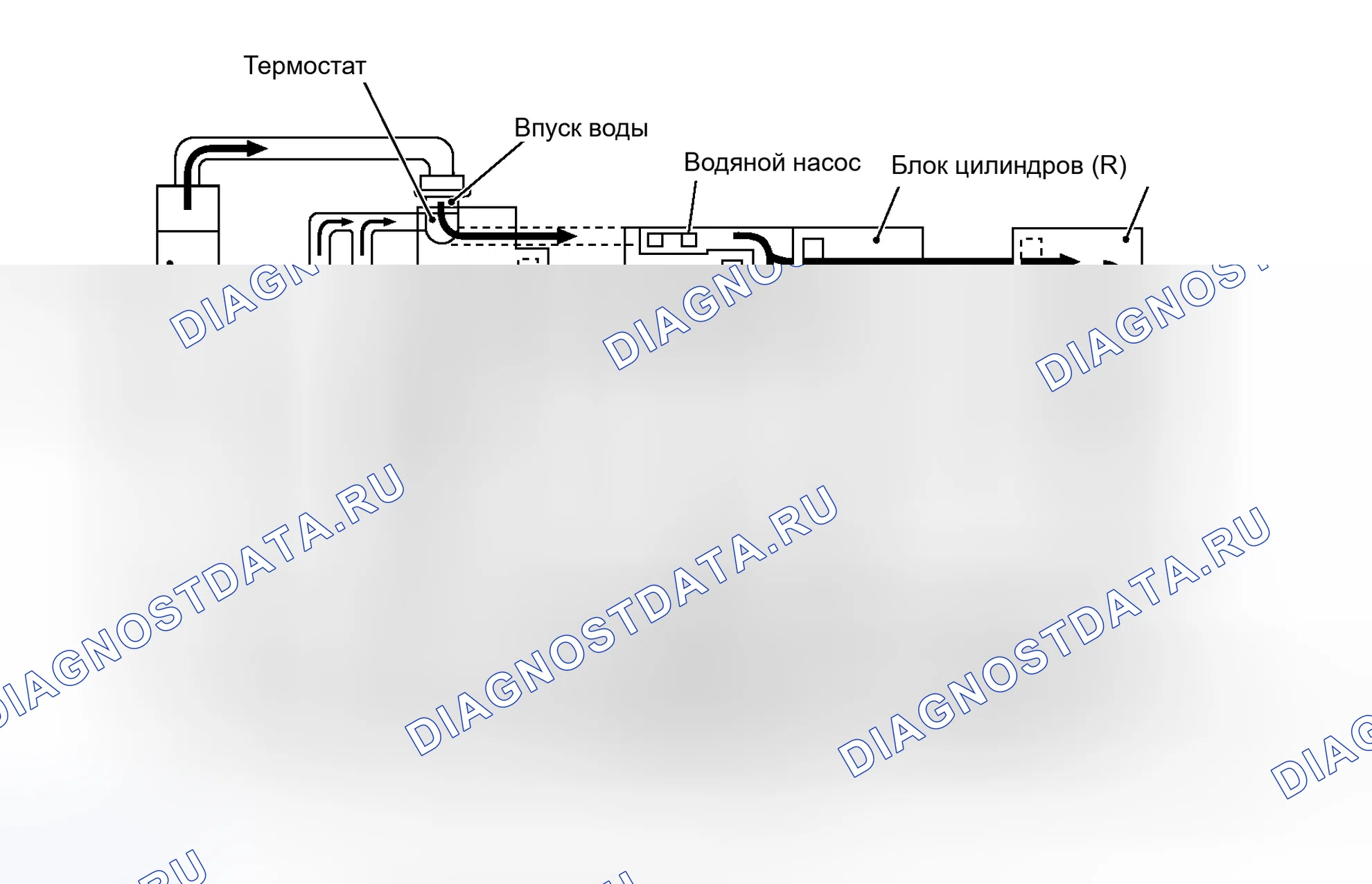 Рис. 27: Идентификация контура охлаждения. Infiniti I30 II