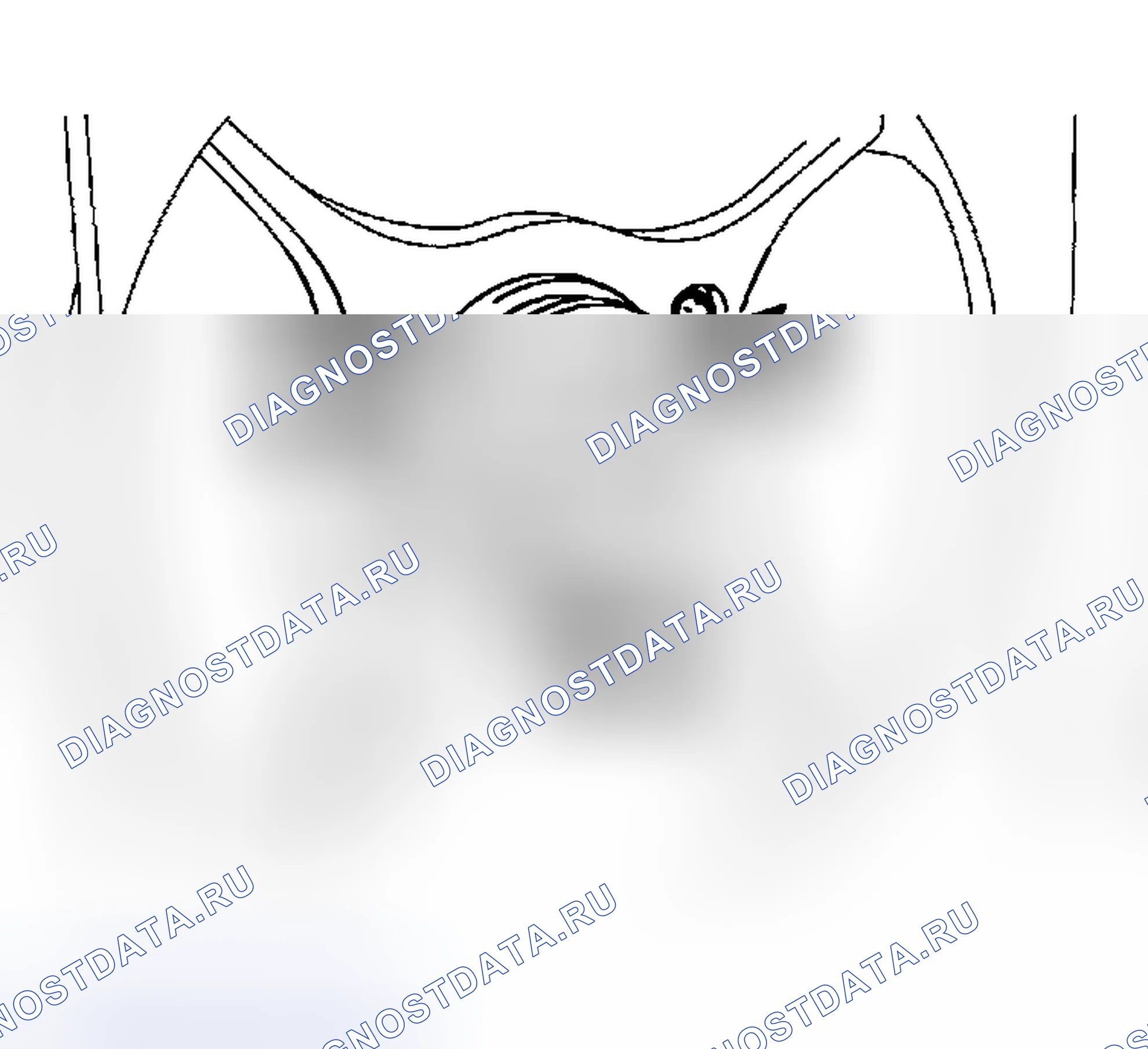 Рис. 115. Subaru Impreza GD/GC/GG рестайлинг
