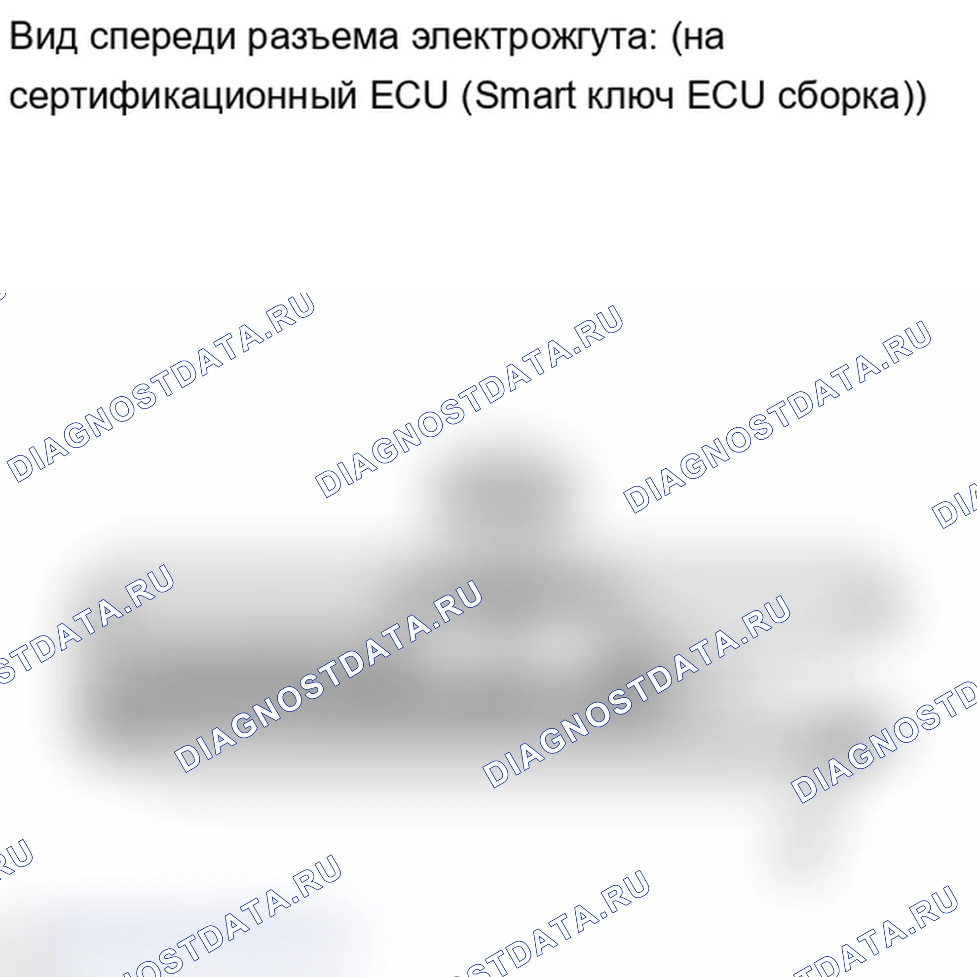 Рис. 304. Lexus IS F I