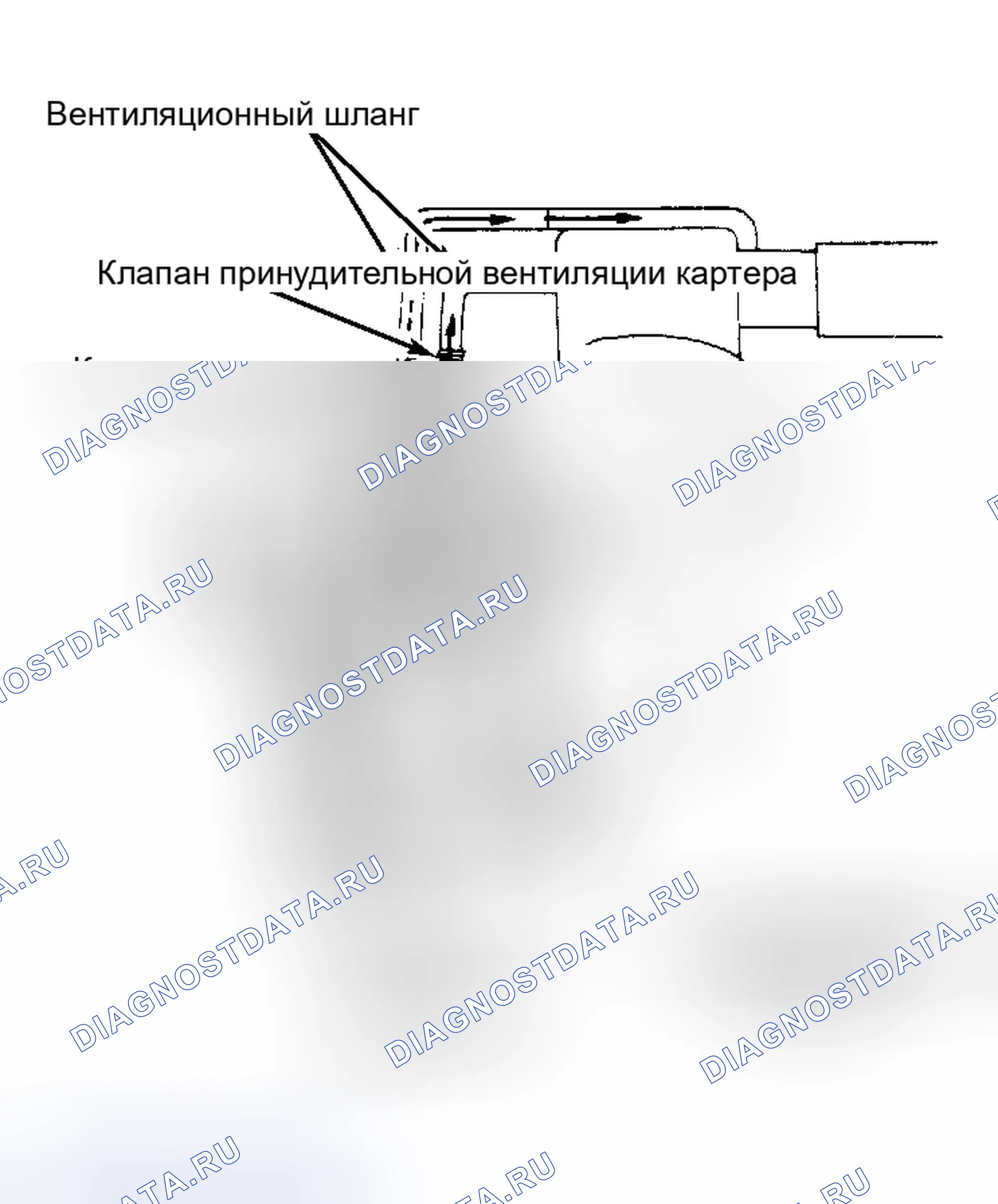 Рис. 7: Система вентиляции картера (фургон). Toyota Camry V10