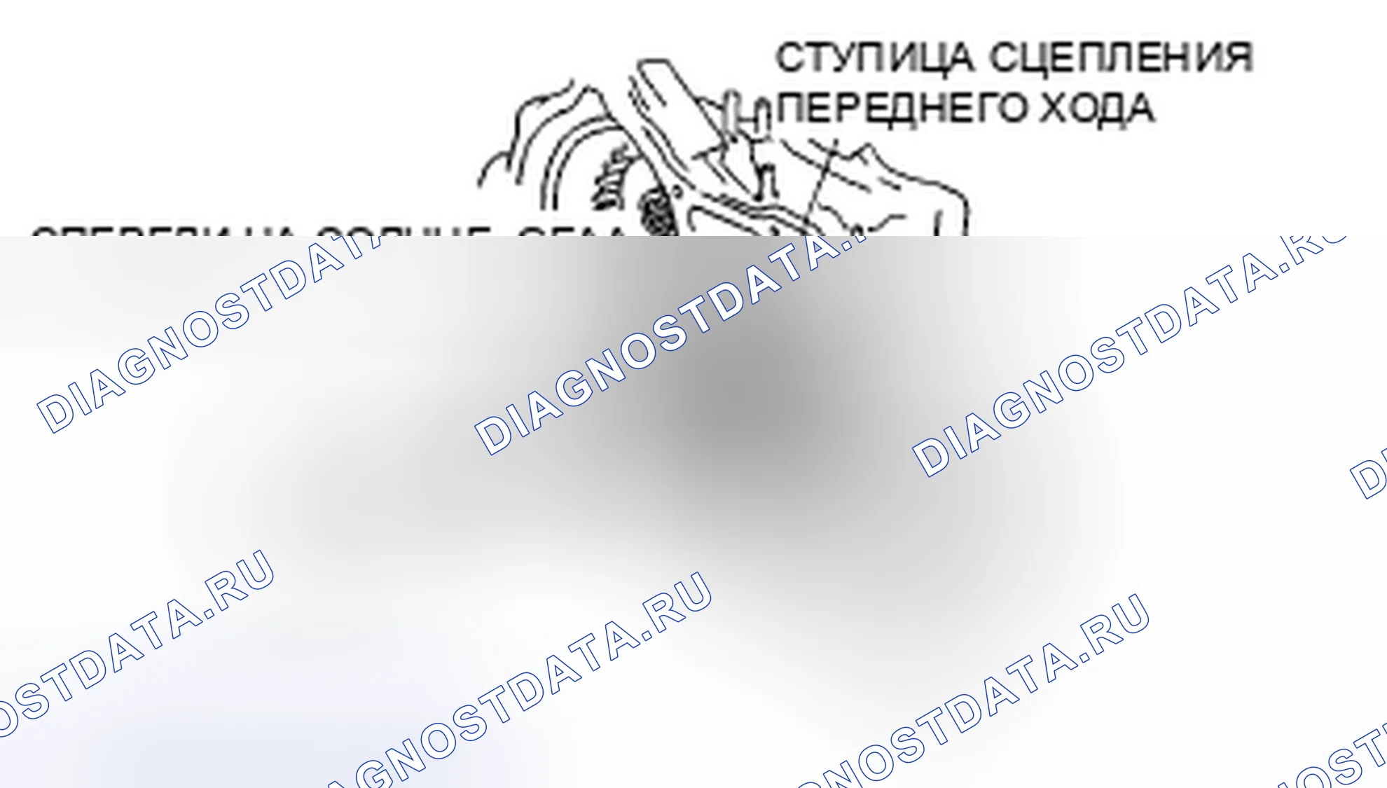 Рис. 820. Audi R8 I