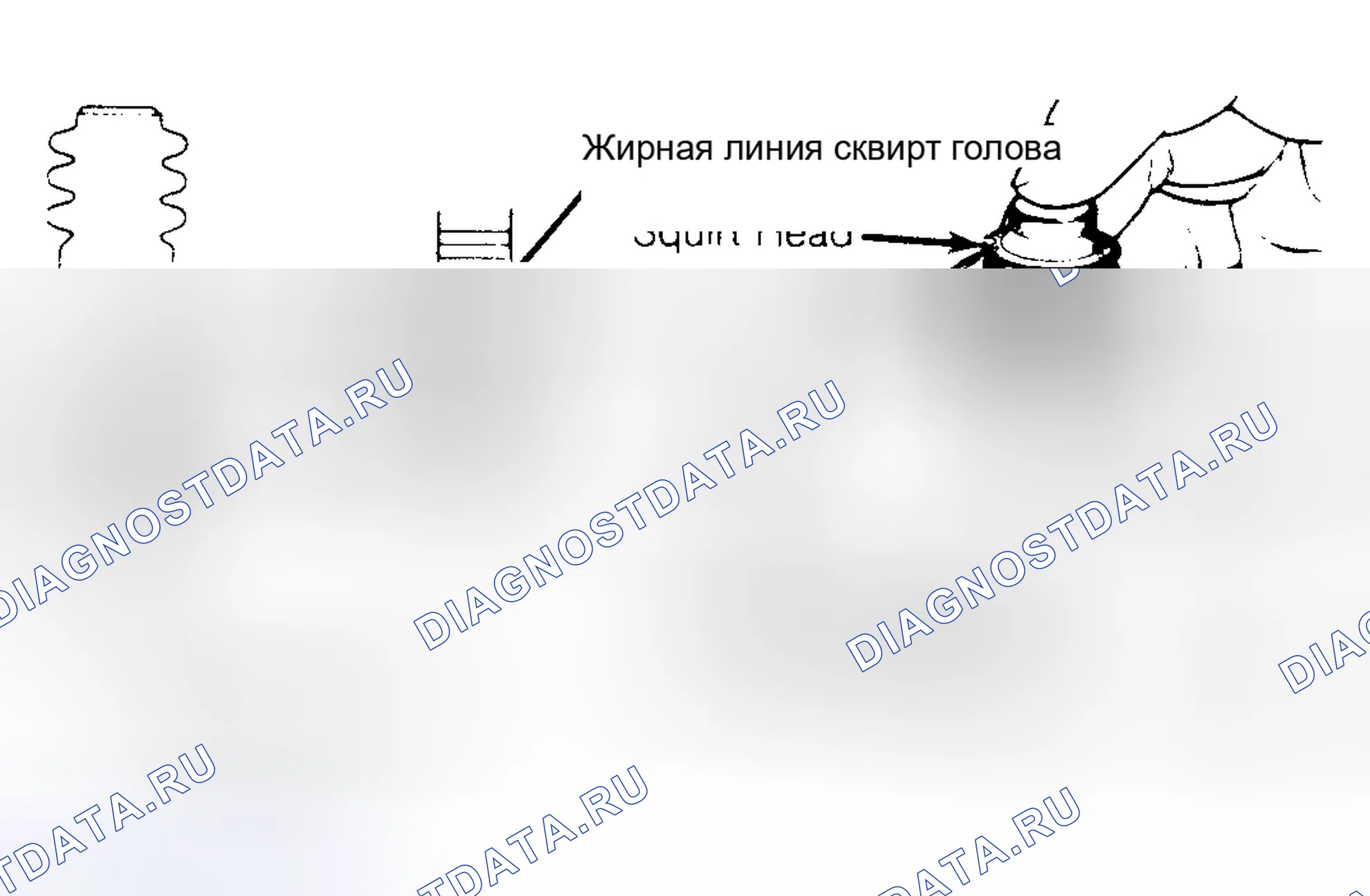Рис. 6. Dodge Challenger II