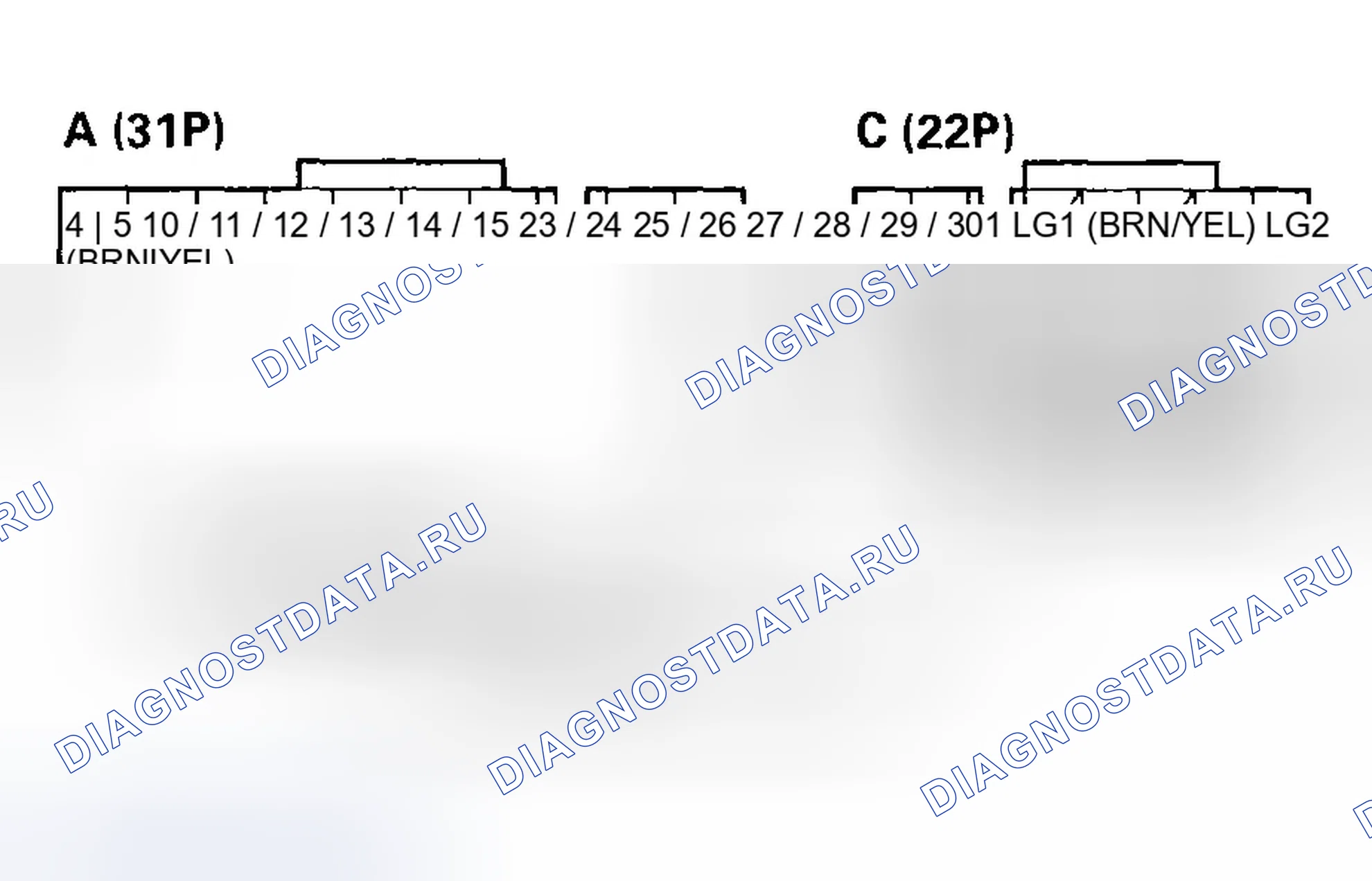 Рис. 233: расшифровка кода ошибки P0705: Короткое замыкание в цепи переключателя диапазона передачи (множественный ввод положения переключения) (модель 2004-05 гг.. Honda Civic VII рестайлинг