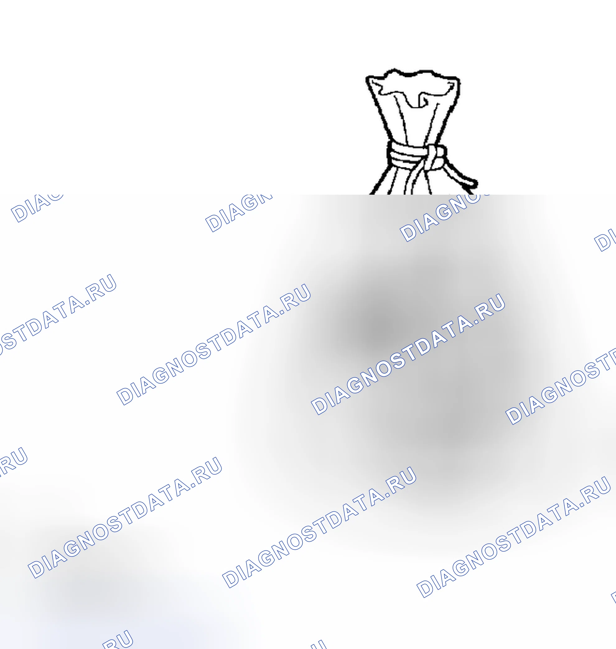 Рис. 53. Honda Accord VI