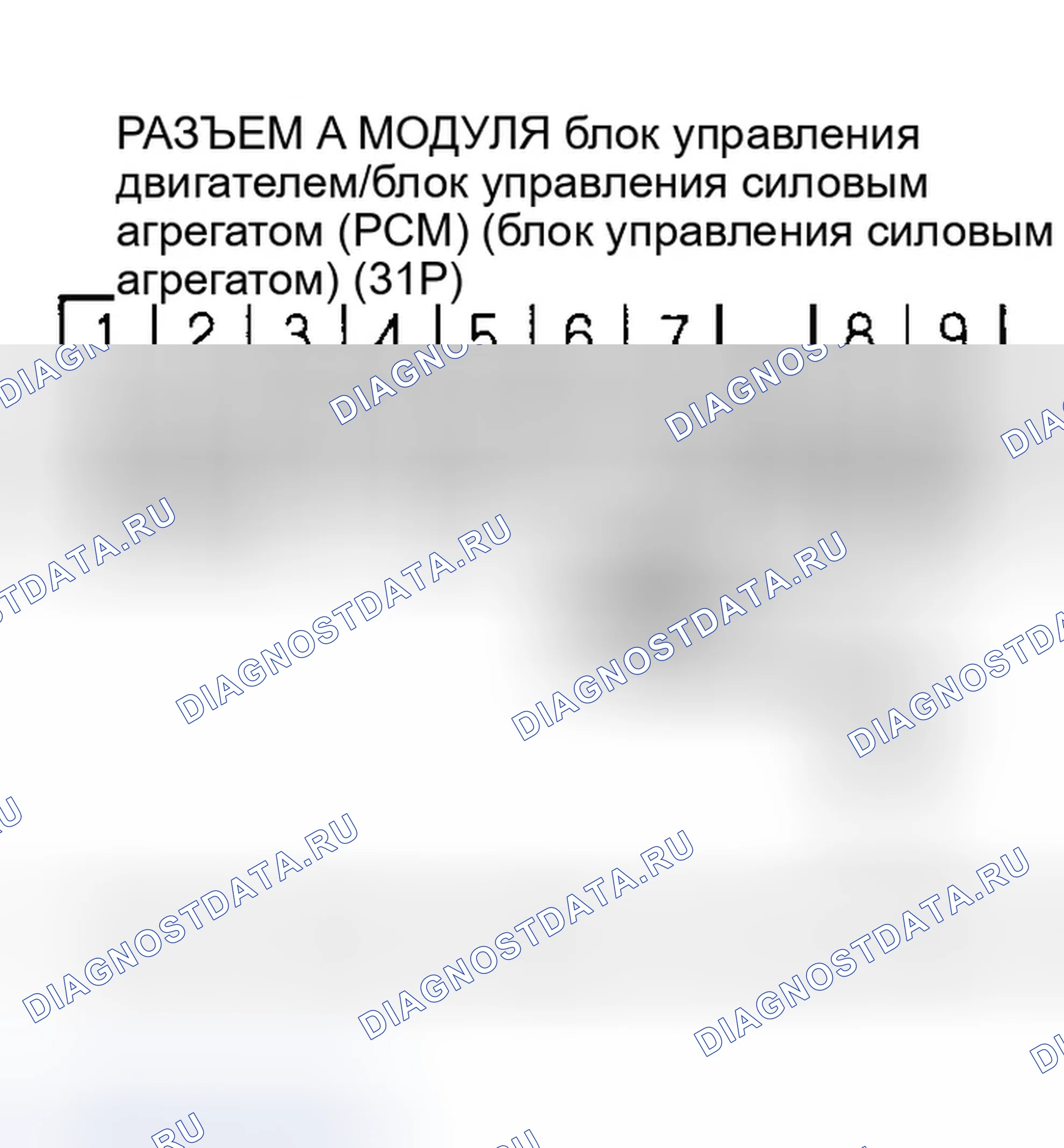 Рис. 34. Honda Element I