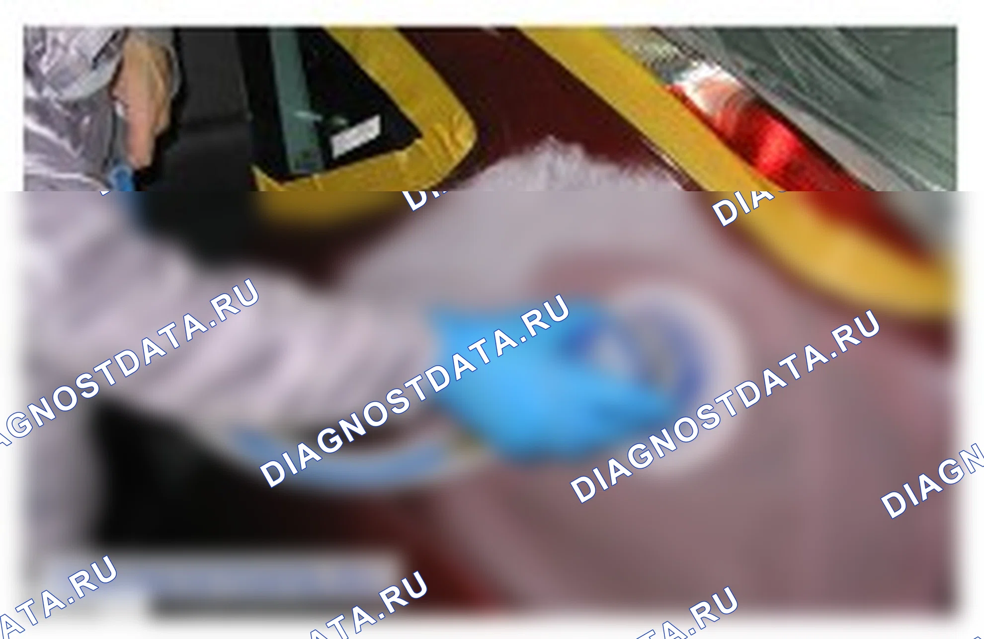 Ремонты лакокрасочного покрытия: описание и работа. Ford Grand C-MAX II