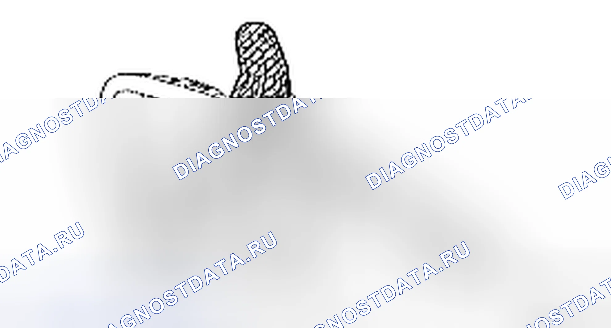 Рис. 300. Toyota Yaris II