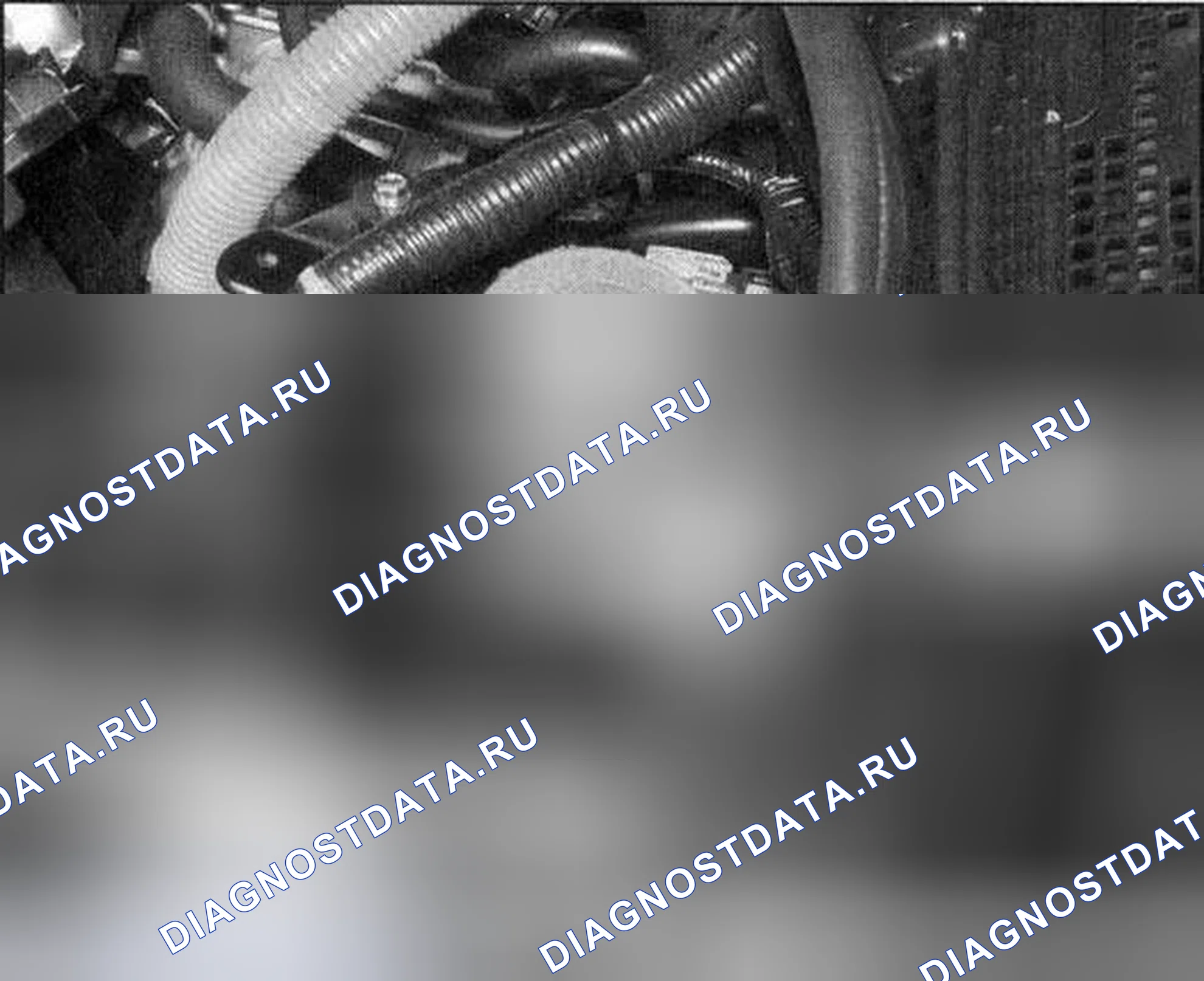 Рис. 28. Honda Accord VII рестайлинг