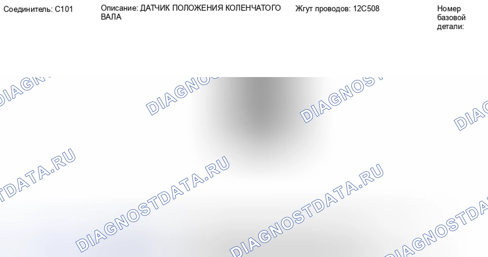 Рис. 5: Вид с торца разъема датчика положения коленчатого вала (C101). Hyundai Lafesta I рестайлинг