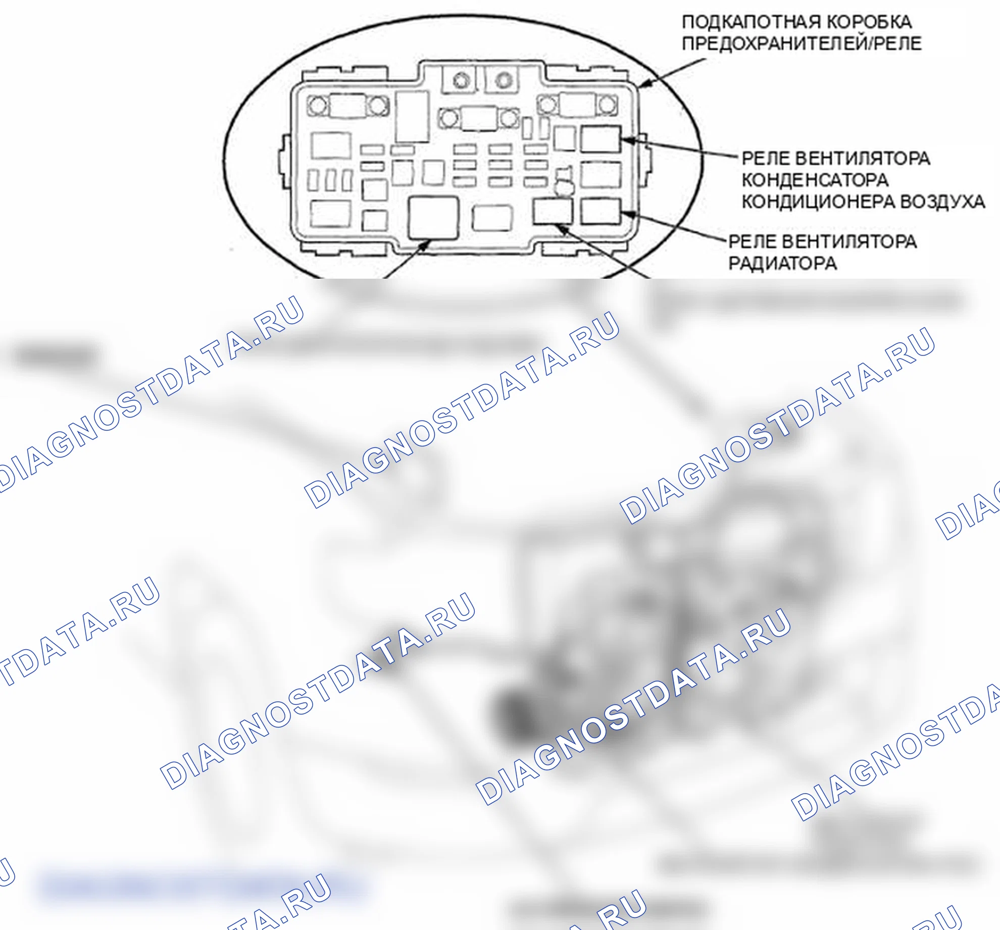 Рис. 4. Honda Element YH2 рестайлинг 2