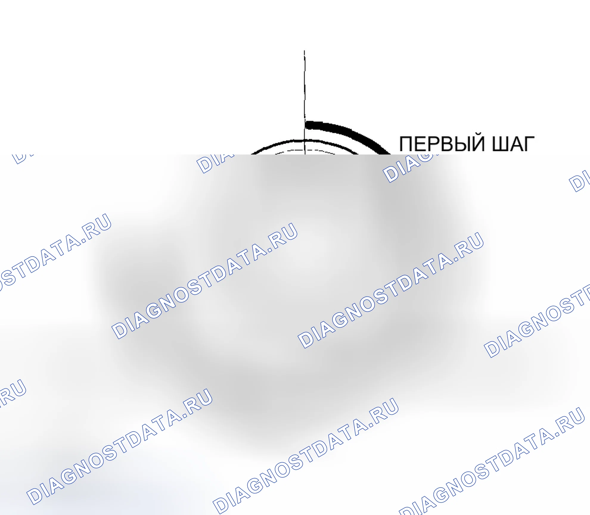 Рис. 483. Honda Accord VII рестайлинг