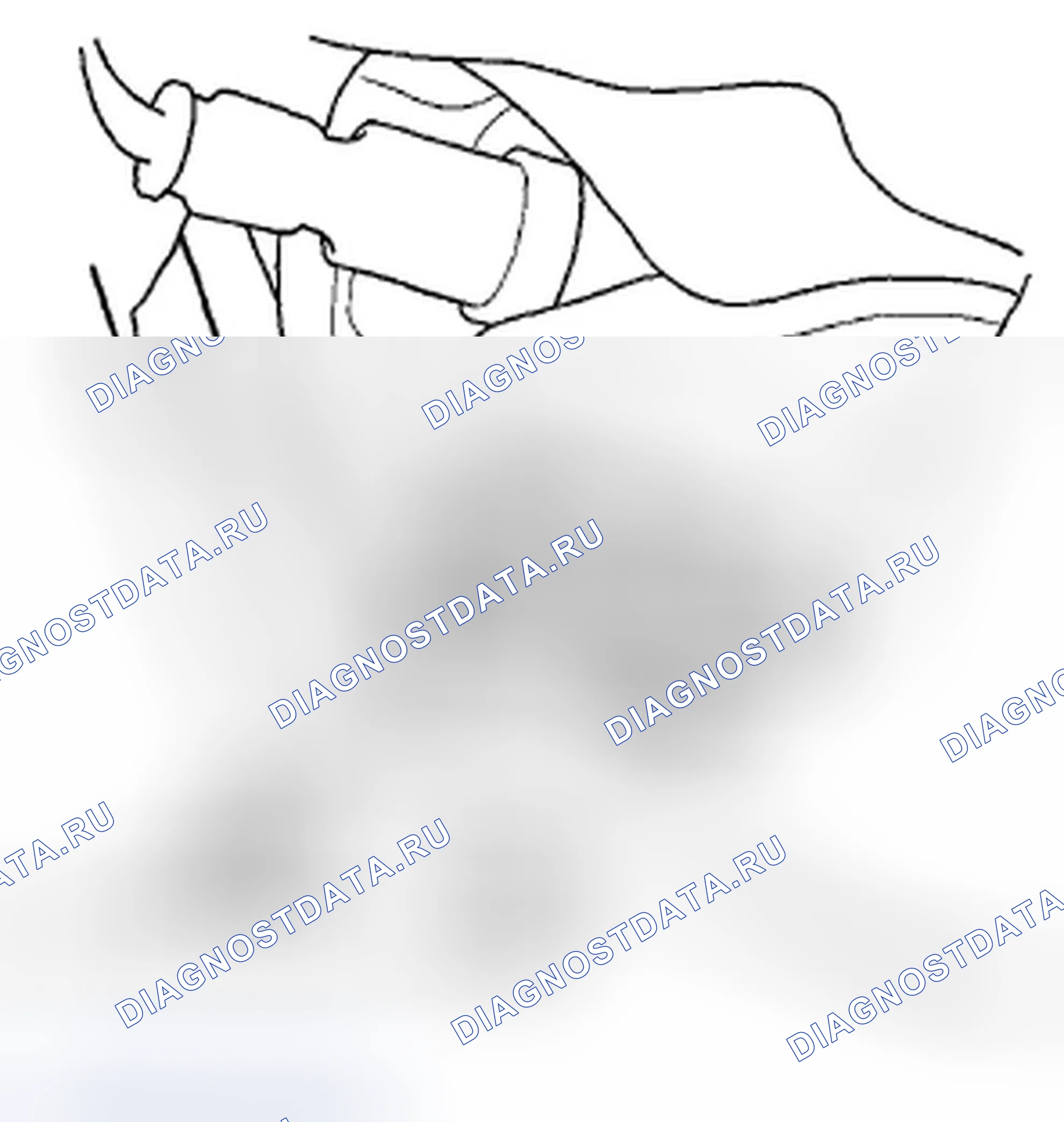 Рис. 29. Honda Crosstour I