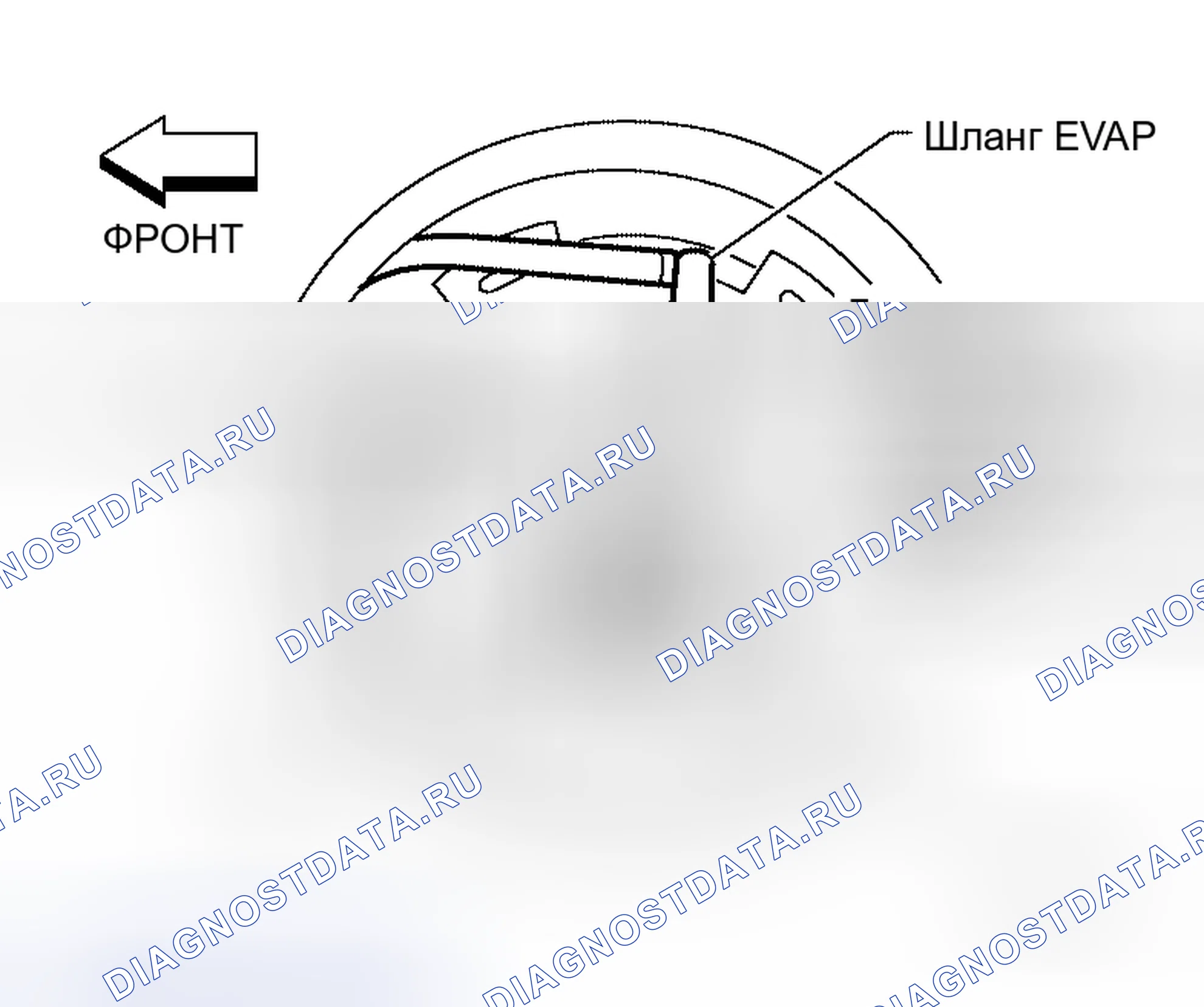 Рис. 5. Honda Mobilio Spike I