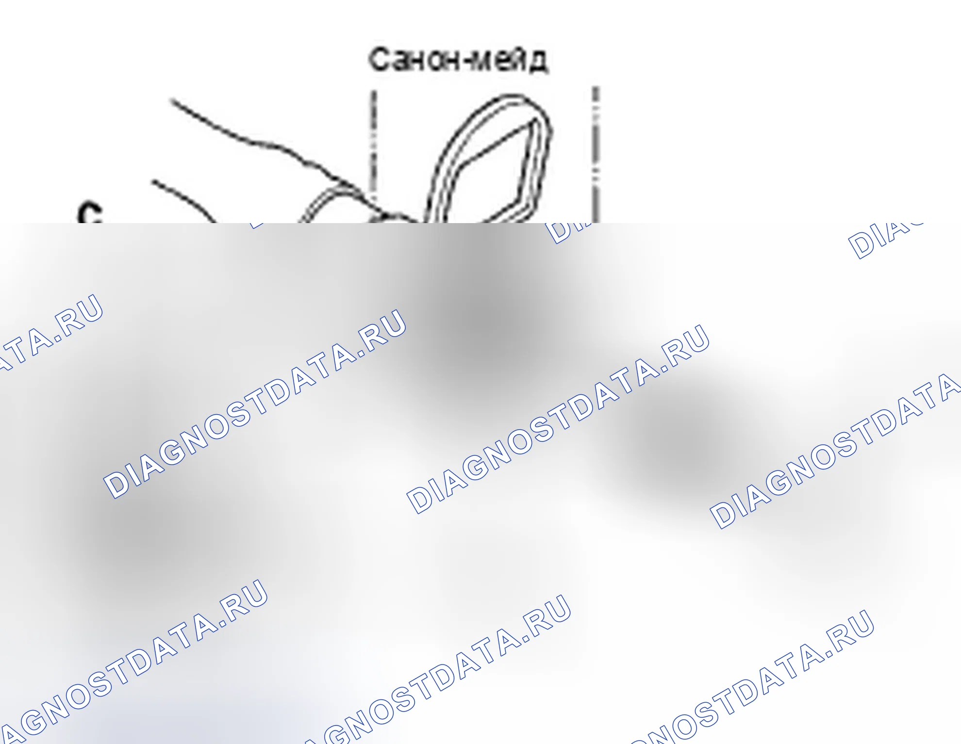 Рис. 36. Honda Element YH2 рестайлинг 2