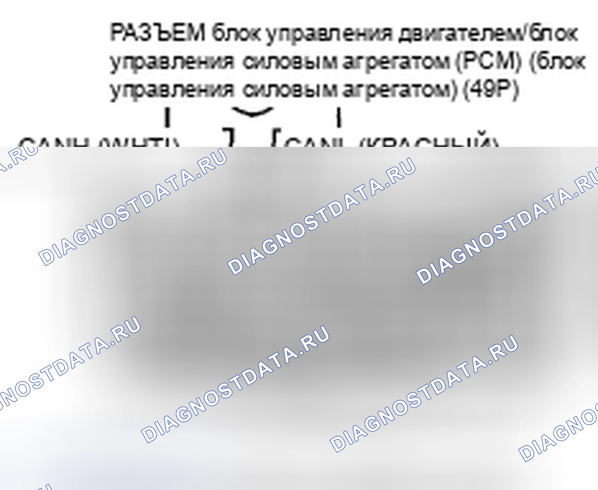 Рис. 855. Honda Accord VIII рестайлинг