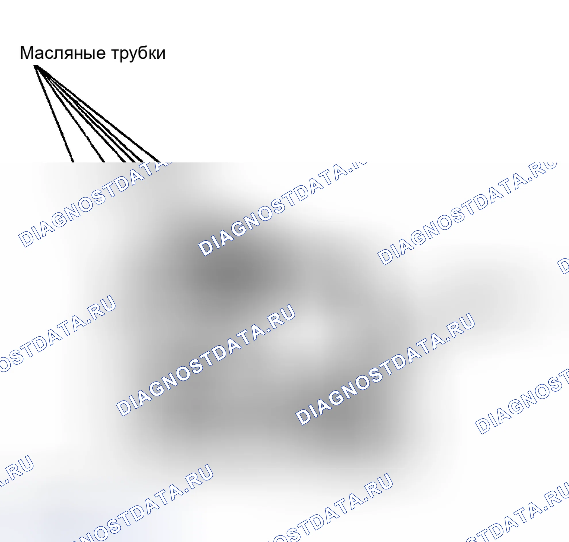 Рис. 5. Toyota Avalon XX20 рестайлинг