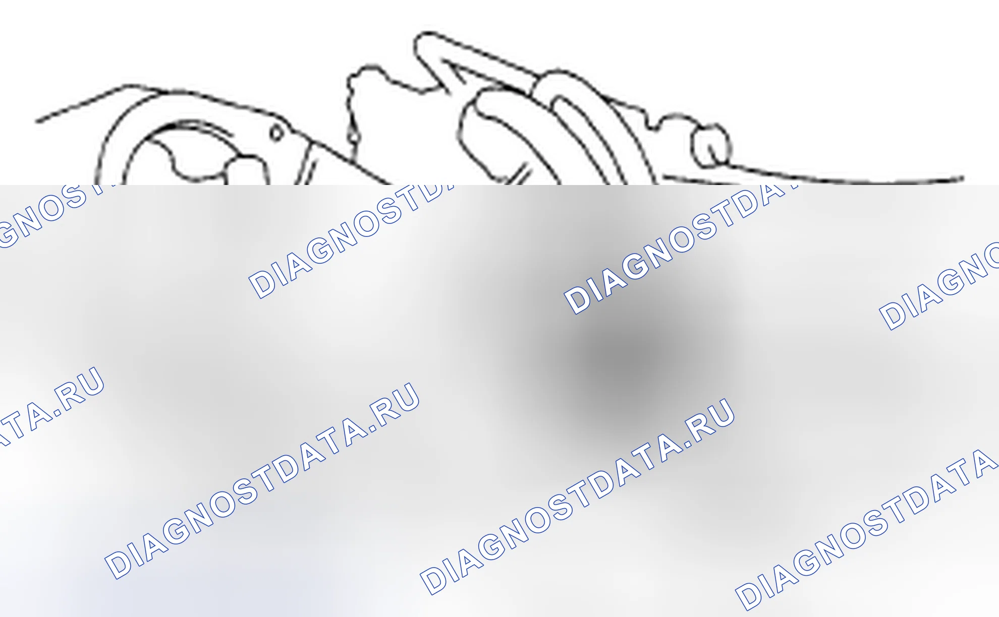 Рис. 665. Subaru Outback BP рестайлинг