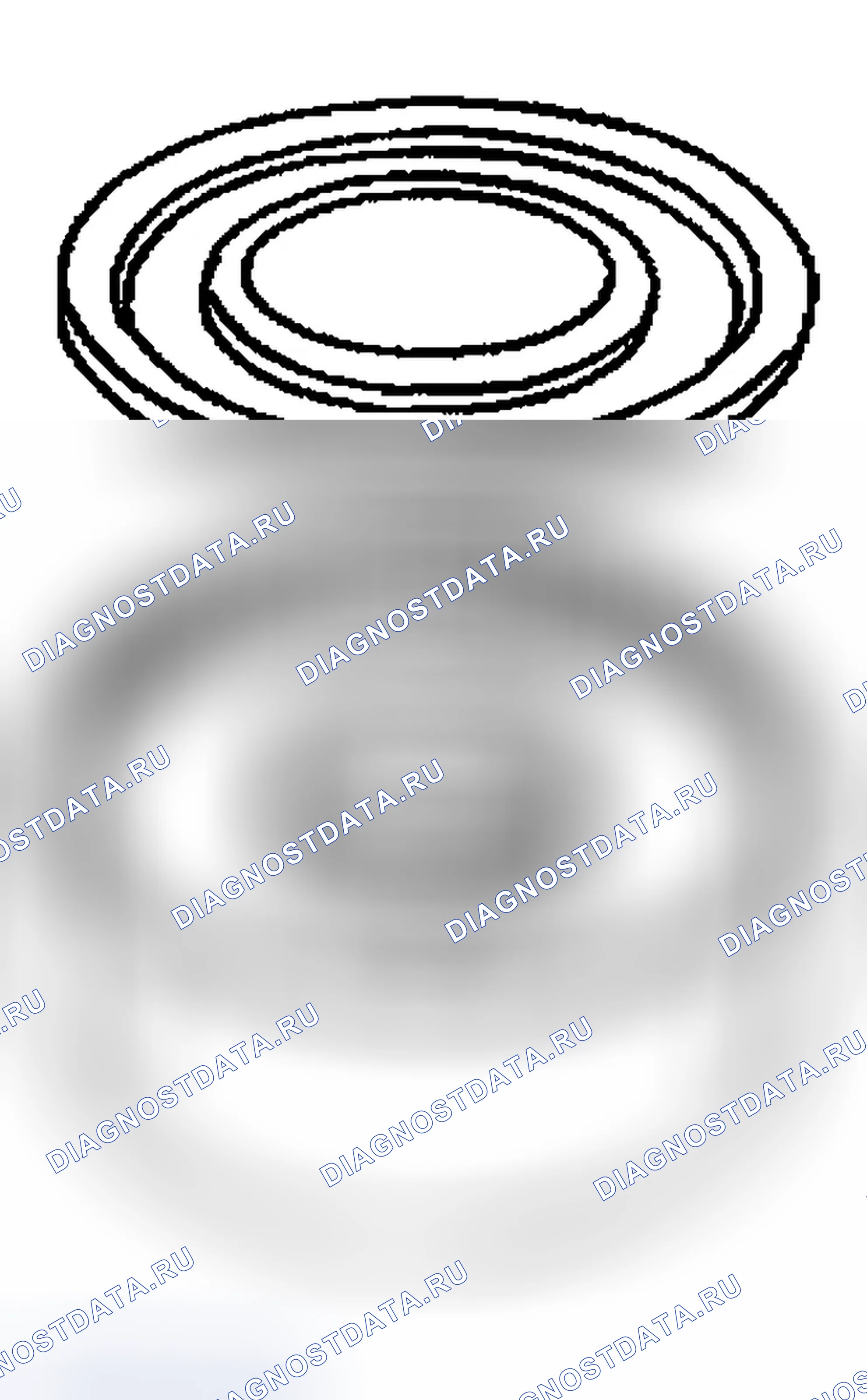 Рис. 630. Ford Escape I
