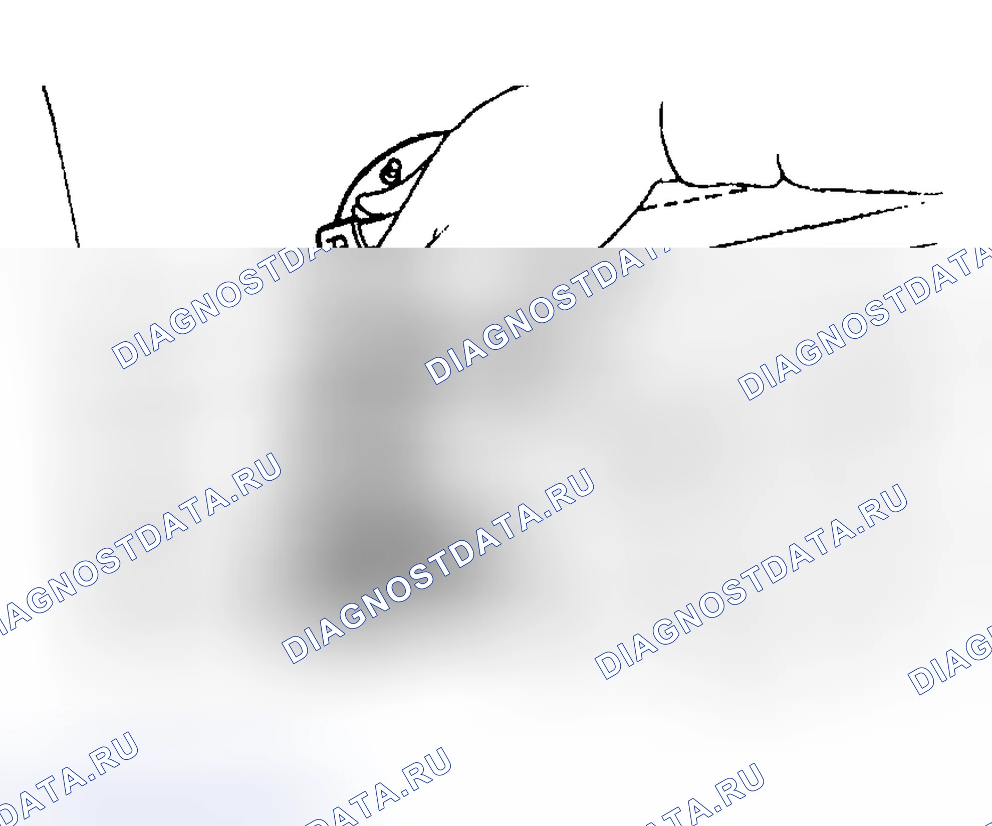 Рис. 268. Subaru Impreza GD/GC/GG