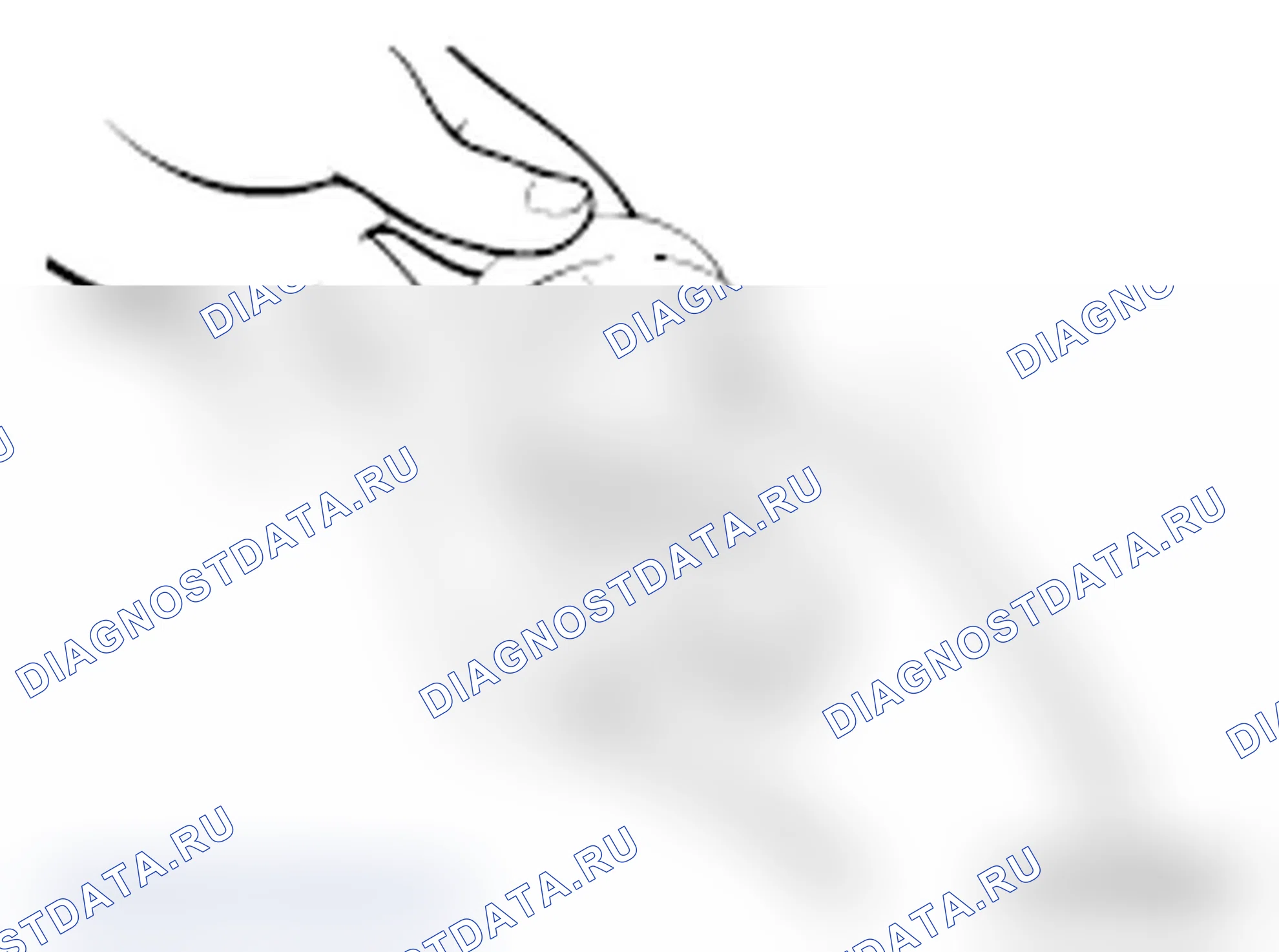 Рис. 61. Mitsubishi Lancer Ralliart X рестайлинг