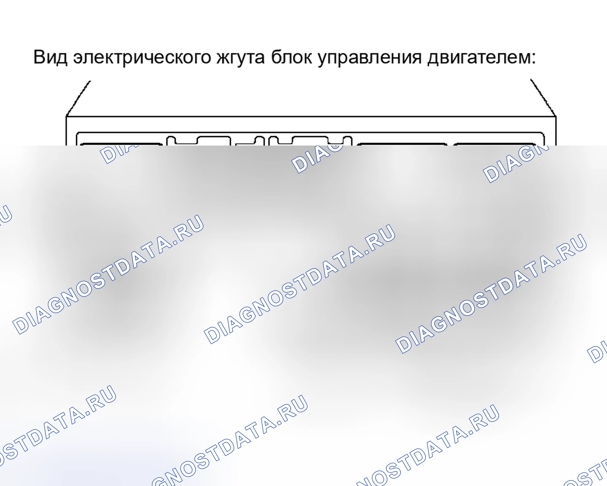 Рис. 209. Honda Accord VI