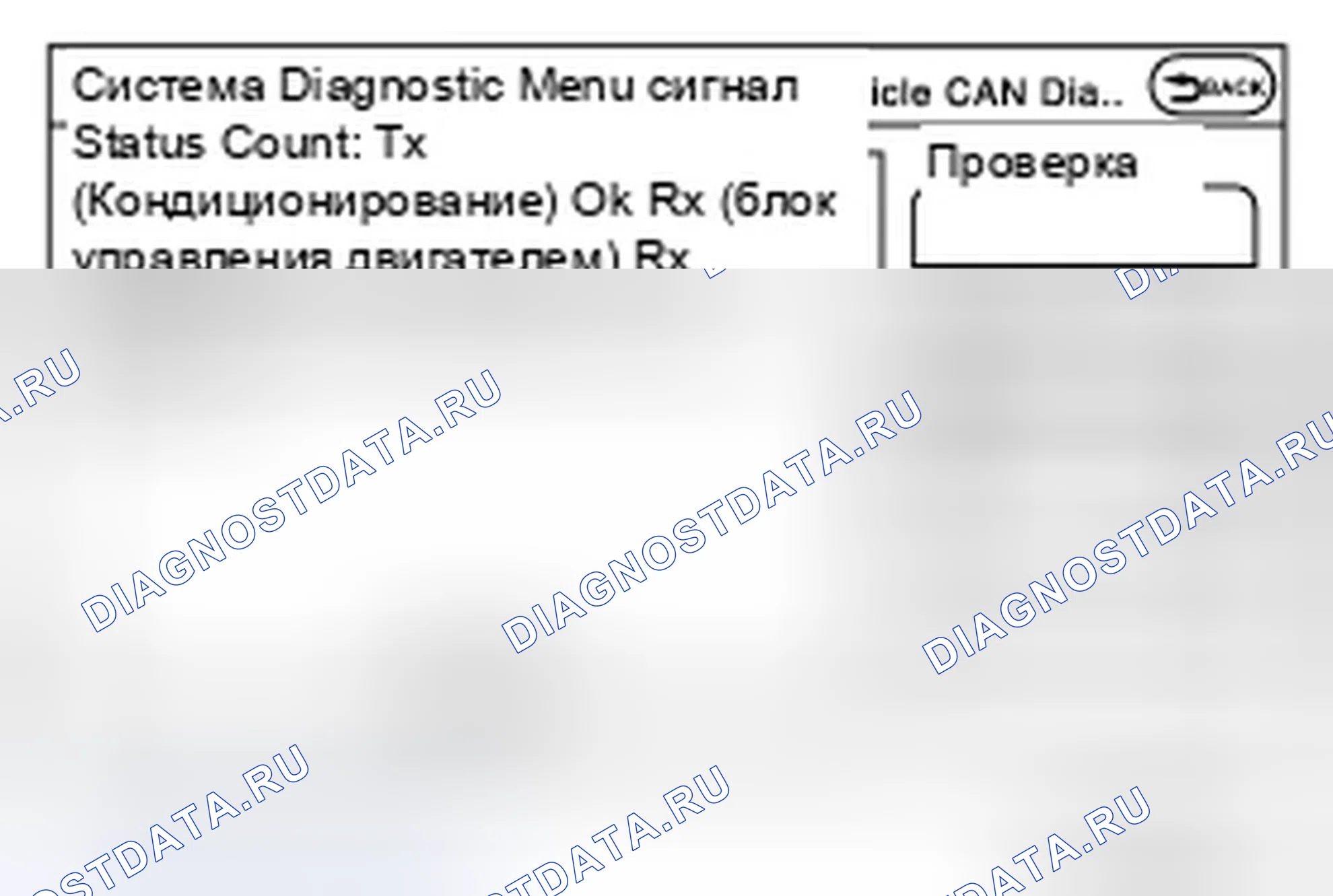 Рис. 99: Диагностика CAN транспортного средства. Infiniti M37 IV