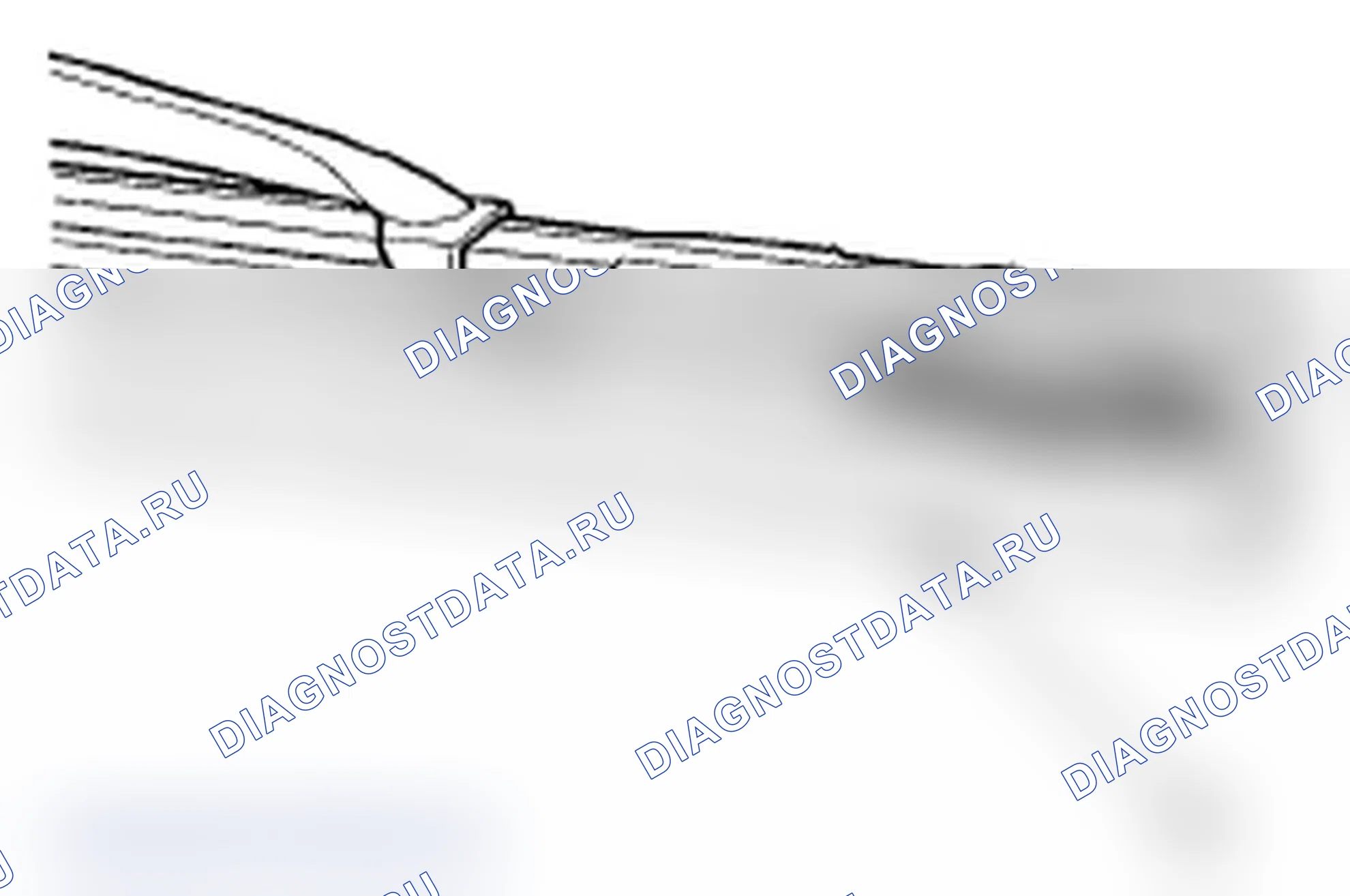 Рис. 23. Acura TL III рестайлинг