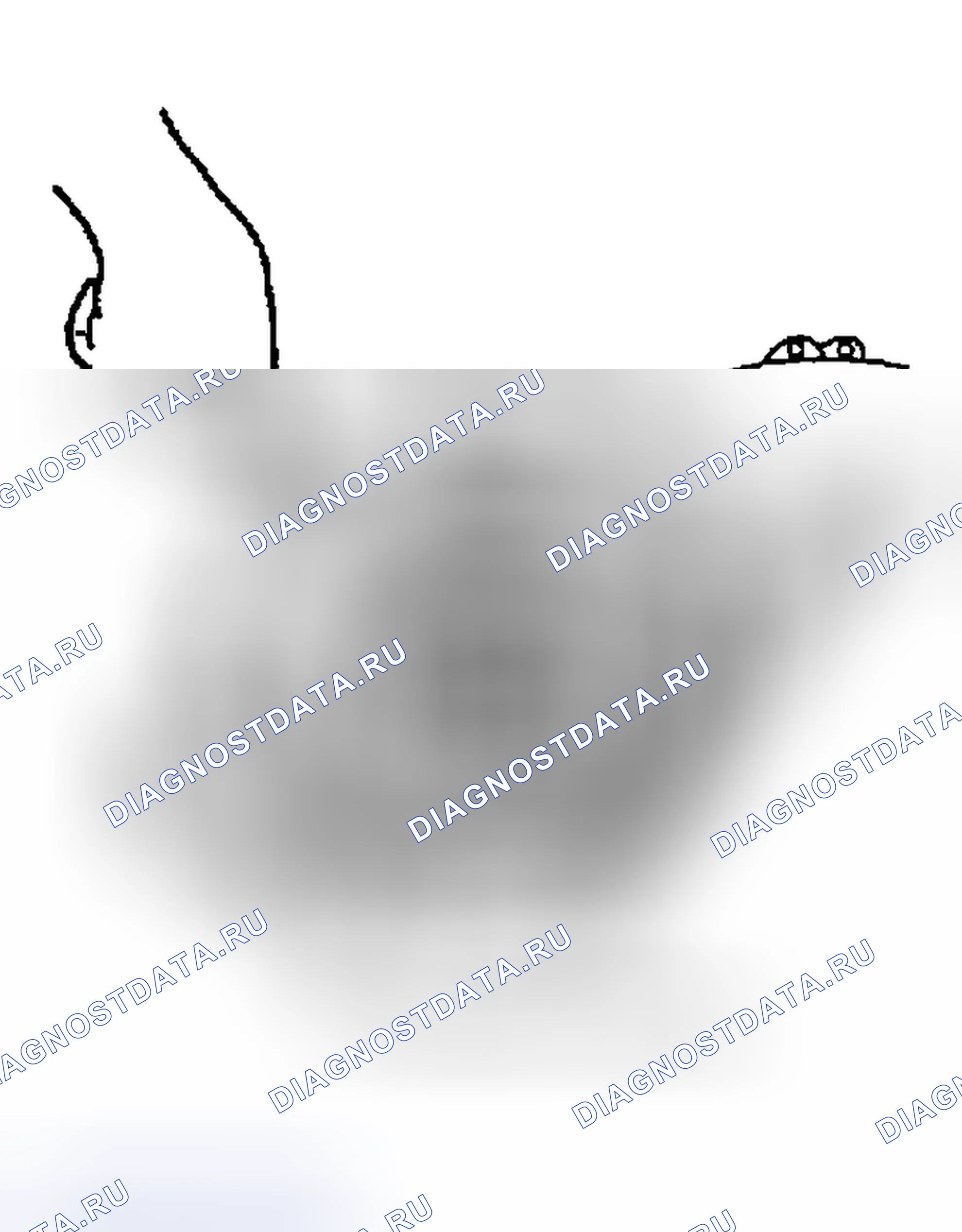 Рис. 377. Geely Preface I