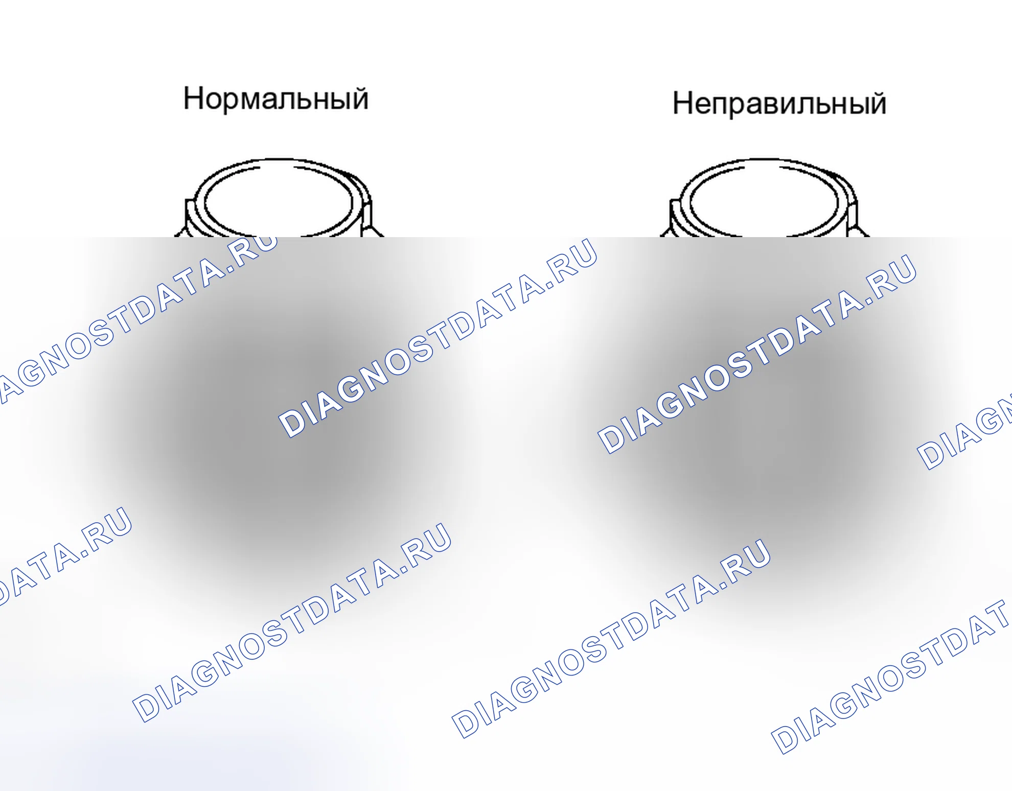 Рис. 5. Honda Accord VI
