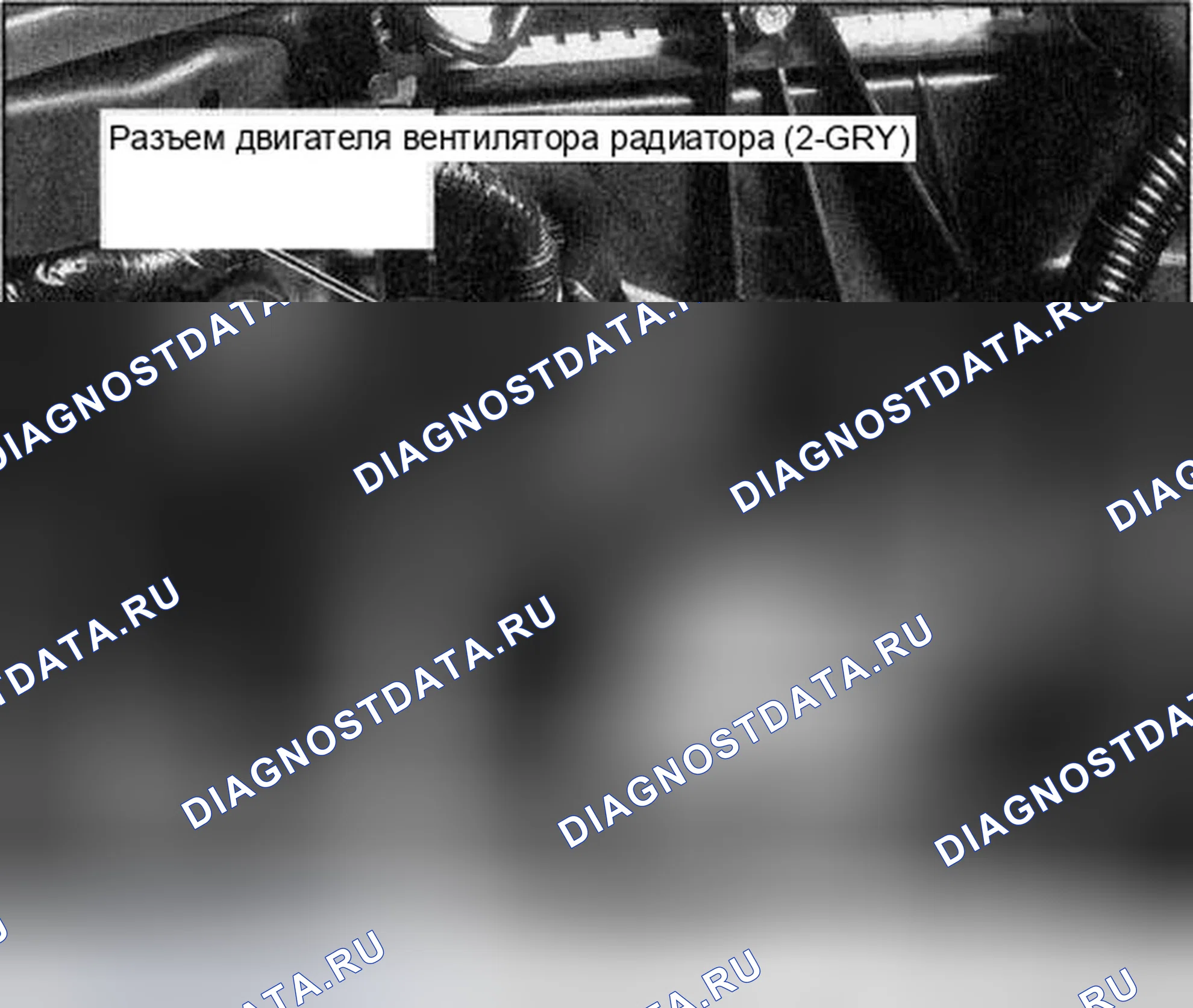 Рис. 170. Honda Accord VII рестайлинг