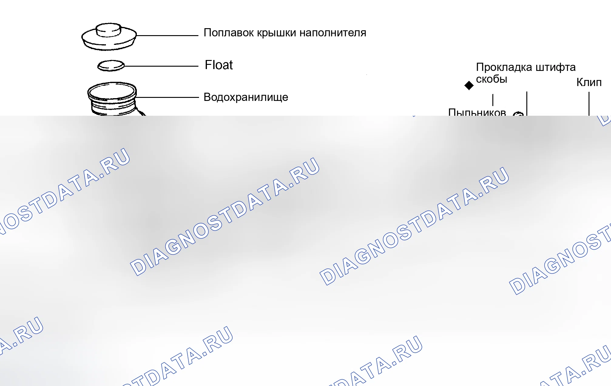Рис. 1: ОБЩИЕ СВЕДЕНИЯ. Toyota Tundra I рестайлинг